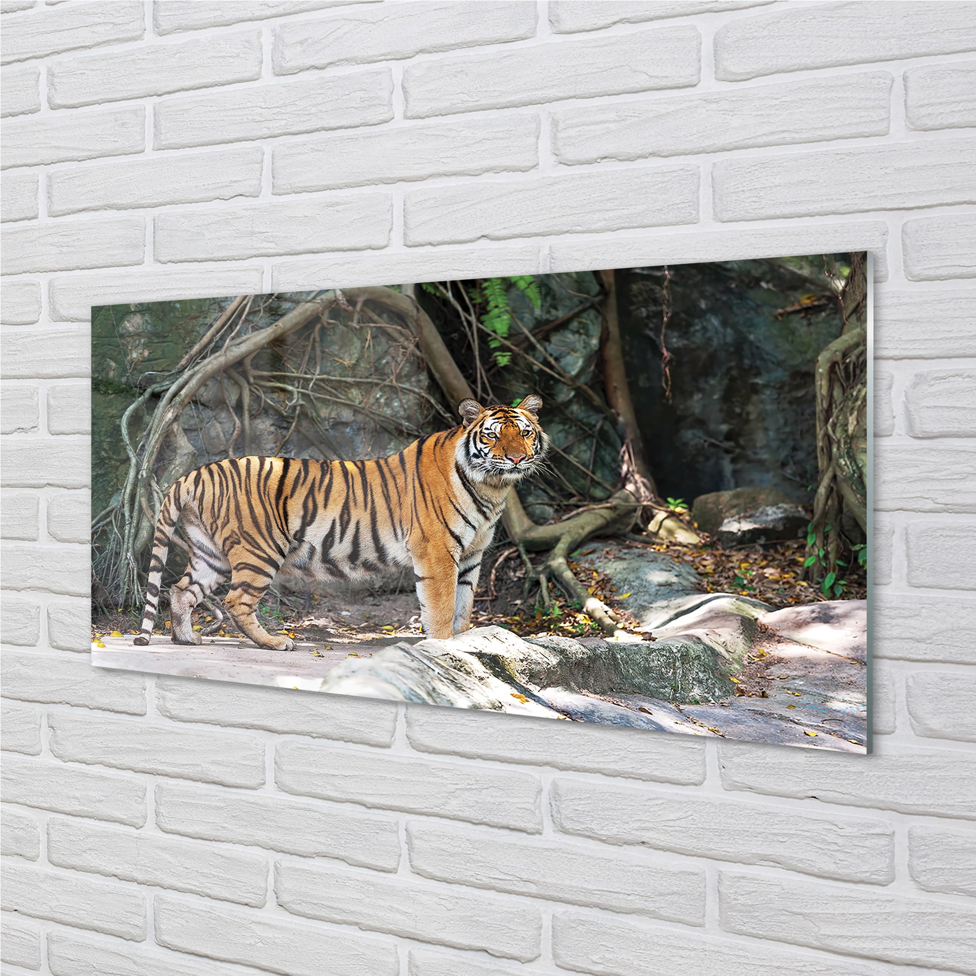 Tulup Cuadro de Cristal 100x50 pintura acryl Tigre de la selva 