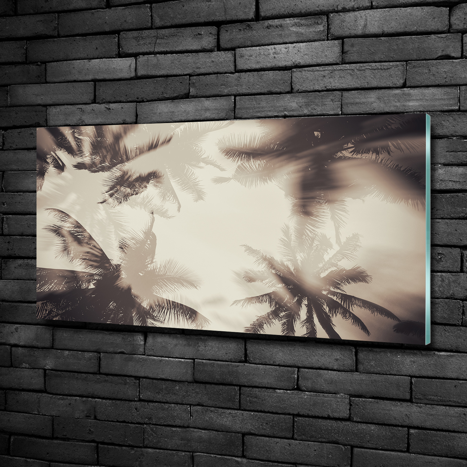Glas-Bild Wandbilder Druck auf Glas 100x50 Deko Blumen & Pflanzen Palmen