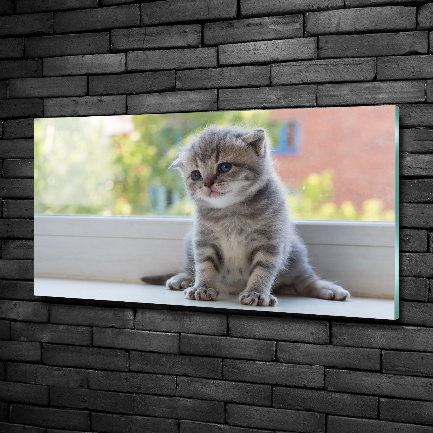 Glas-Bild Wandbilder Druck auf Glas 100x50 Deko Tiere Kleine Katze Fenster