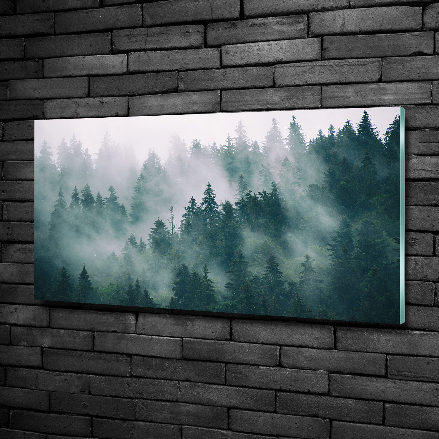 Glas-Bild Wandbilder Druck auf Glas 100x50 Deko Landschaften Nebel über dem Wald
