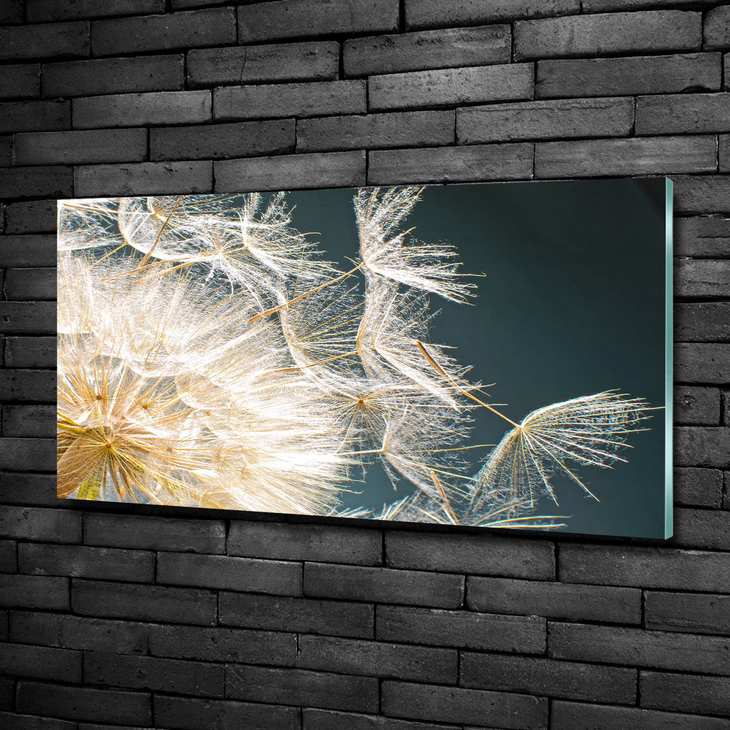 GlasBild Wandbilder Druck auf Glas 100x50 Deko Blumen