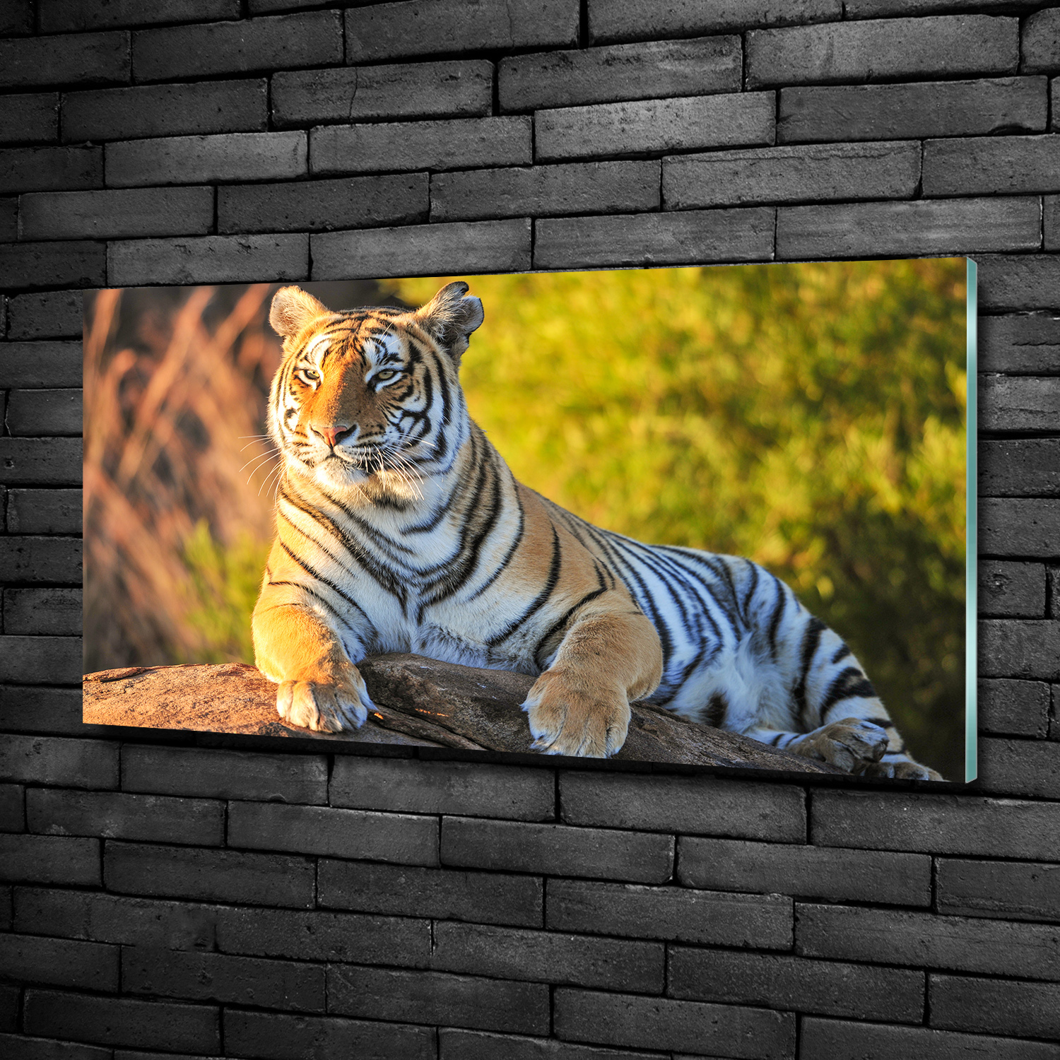 Glas-Bild Wandbilder Druck auf Glas 100x50 Deko Tiere Tiger-Porträt