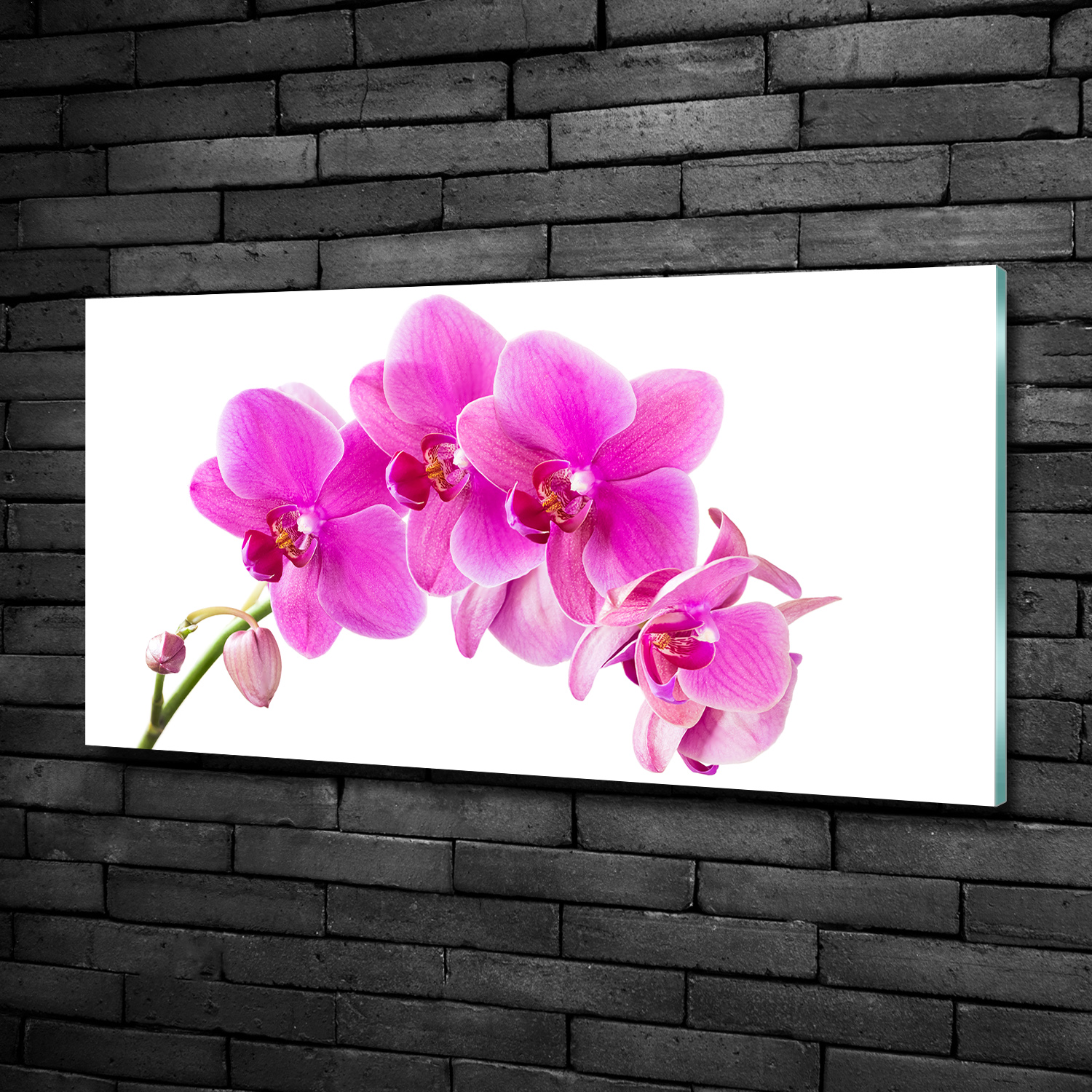 Glas-Bild Wandbilder Druck auf Glas 100x70 Deko Blumen & Pflanzen Orchidee