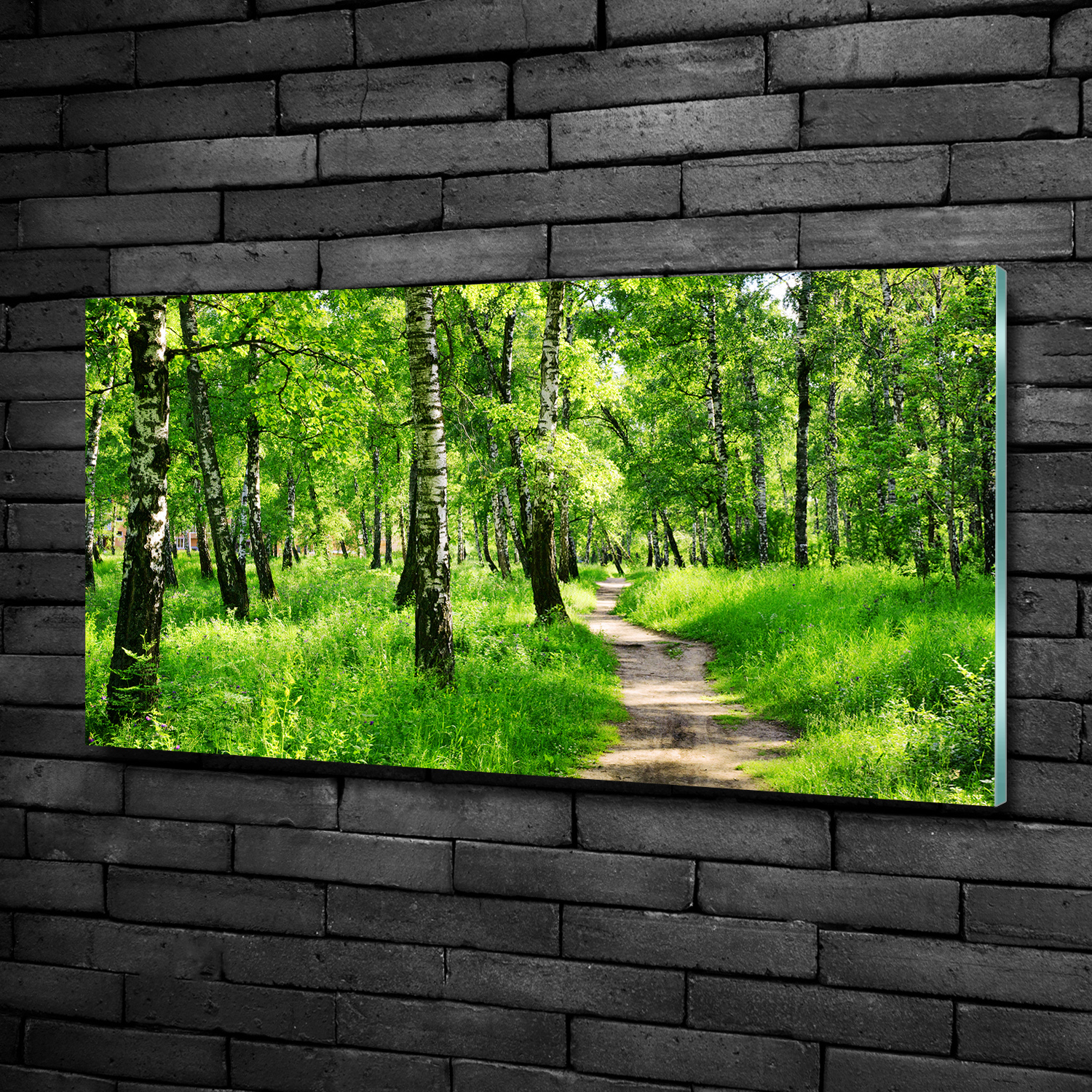 Glasbilder Wandbild Druck auf Glas 100x50 Bild Bären in der Pinienwald Malerei