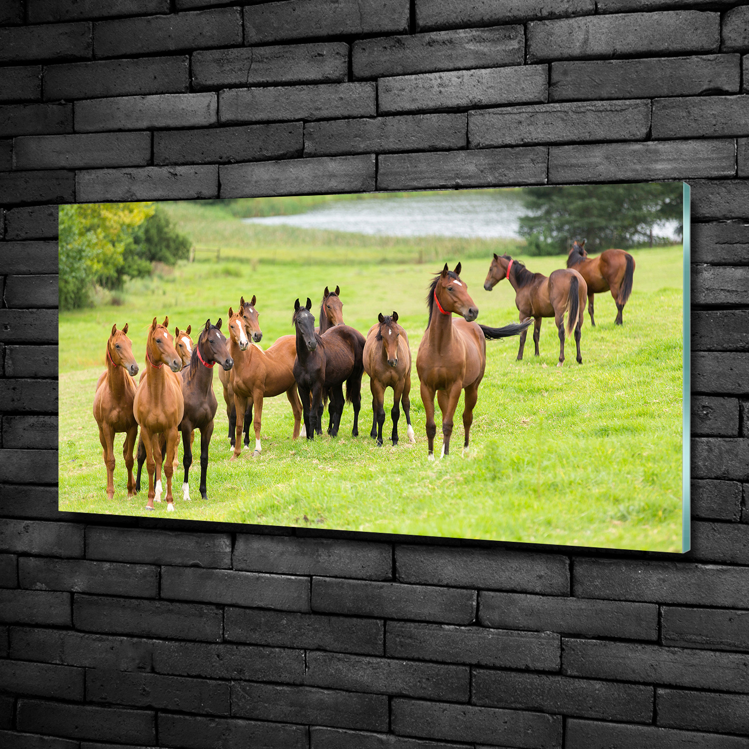 Glas-Bild Wandbilder Druck auf Glas 100x50 Deko Tiere Pferde im Galopp