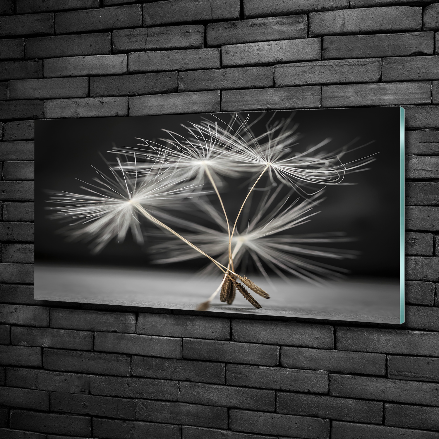 Glas-Bild Wandbilder Druck auf Glas 100x50 Deko Blumen & Pflanzen Pusteblume