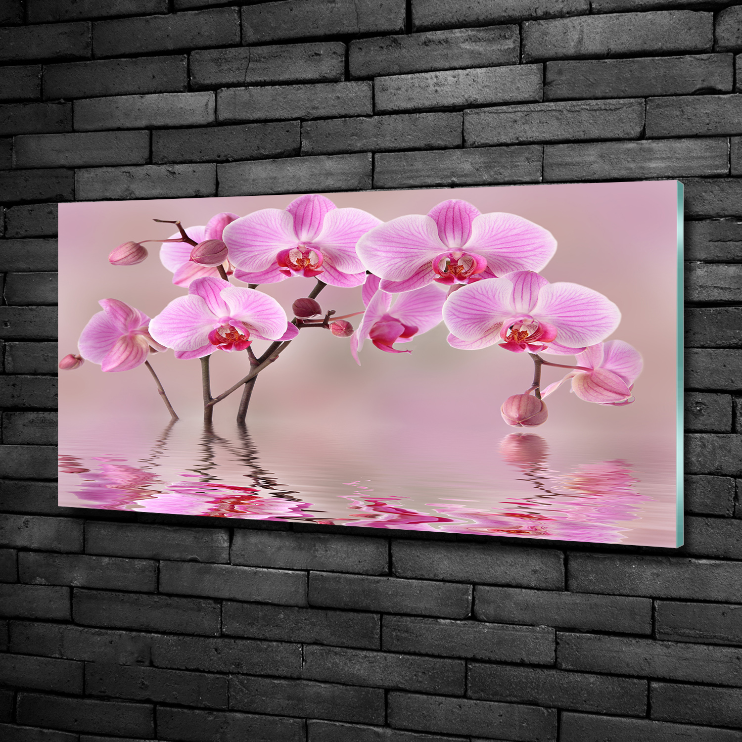 Wandbild Glas-Bild Druck auf Glas 100x50 Deko Blumen /& Pflanzen Rosa Orchidee