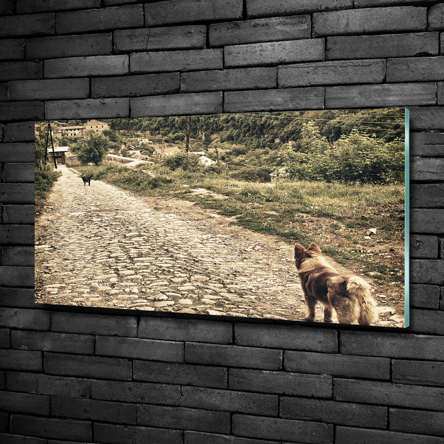 Wandbild Glas-Bild Druck auf Glas 100x50 Deko Tiere Zwei Hunde Hügel