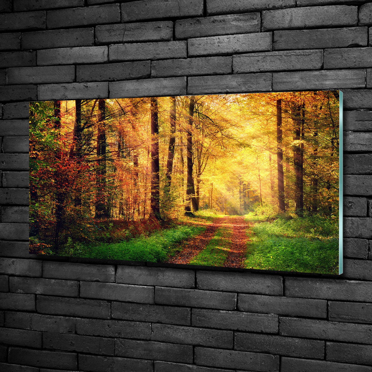 Wandbild Glas-Bild Druck auf Glas 100x50 Deko Landschaften Herbstwald