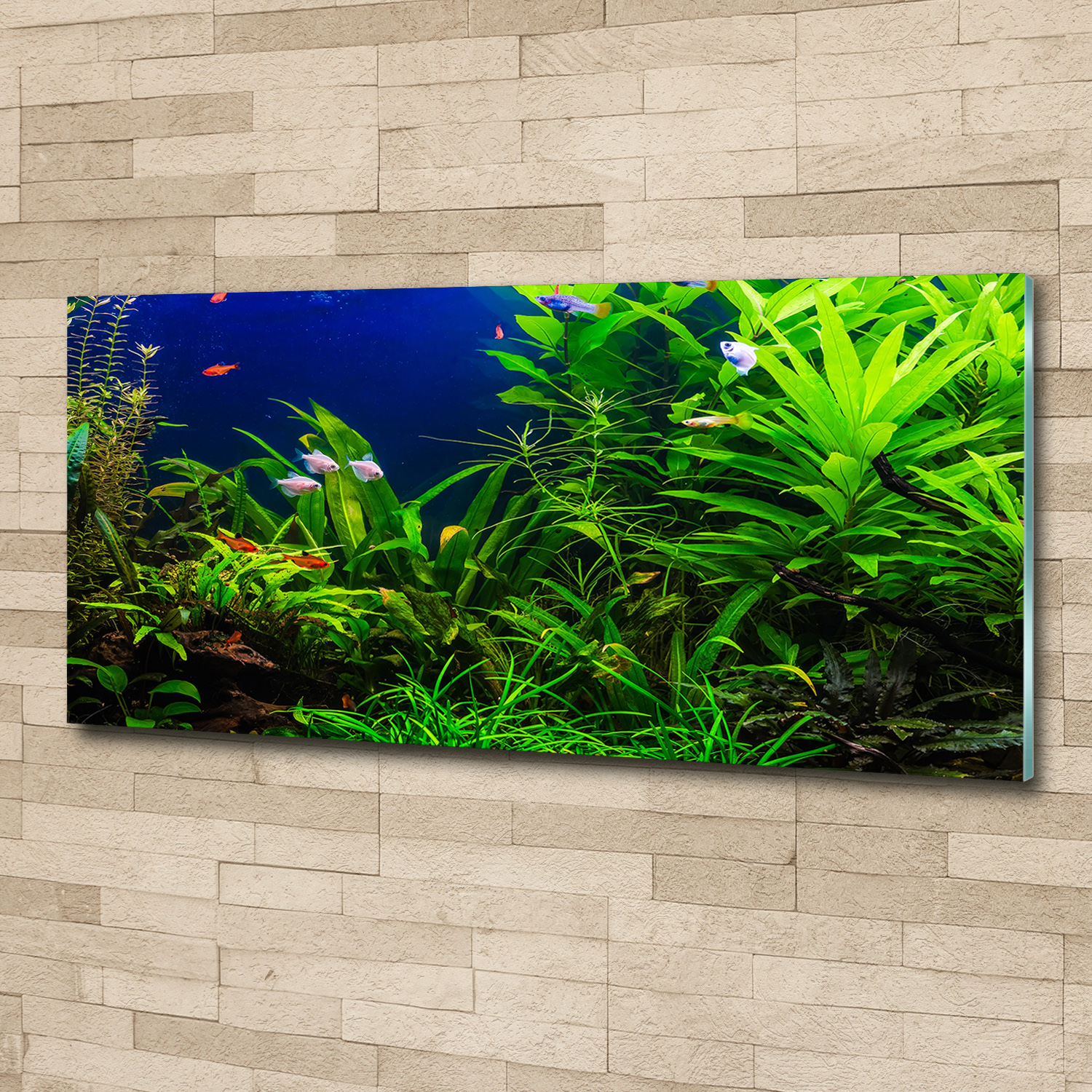 Glas-Bild Wandbilder Druck auf Glas 125x50 Deko Landschaften Fische im Aquarium