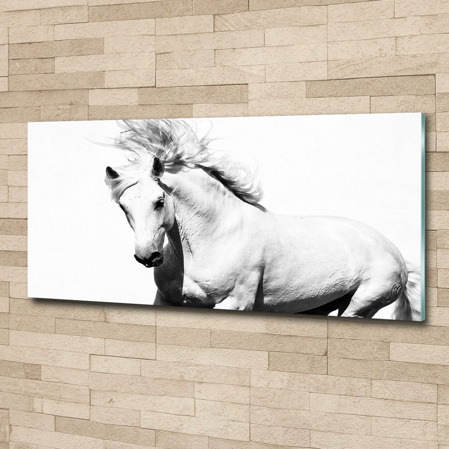Glas-Bild Wandbilder Druck auf Glas 125x50 Deko Tiere Weißes Pferd