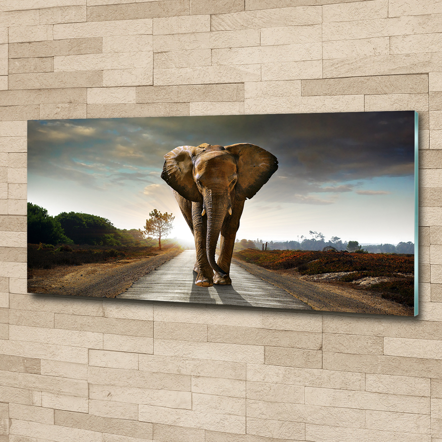 Glas-Bild Wandbilder Druck auf Glas 125x50 Deko Tiere Elefant | eBay