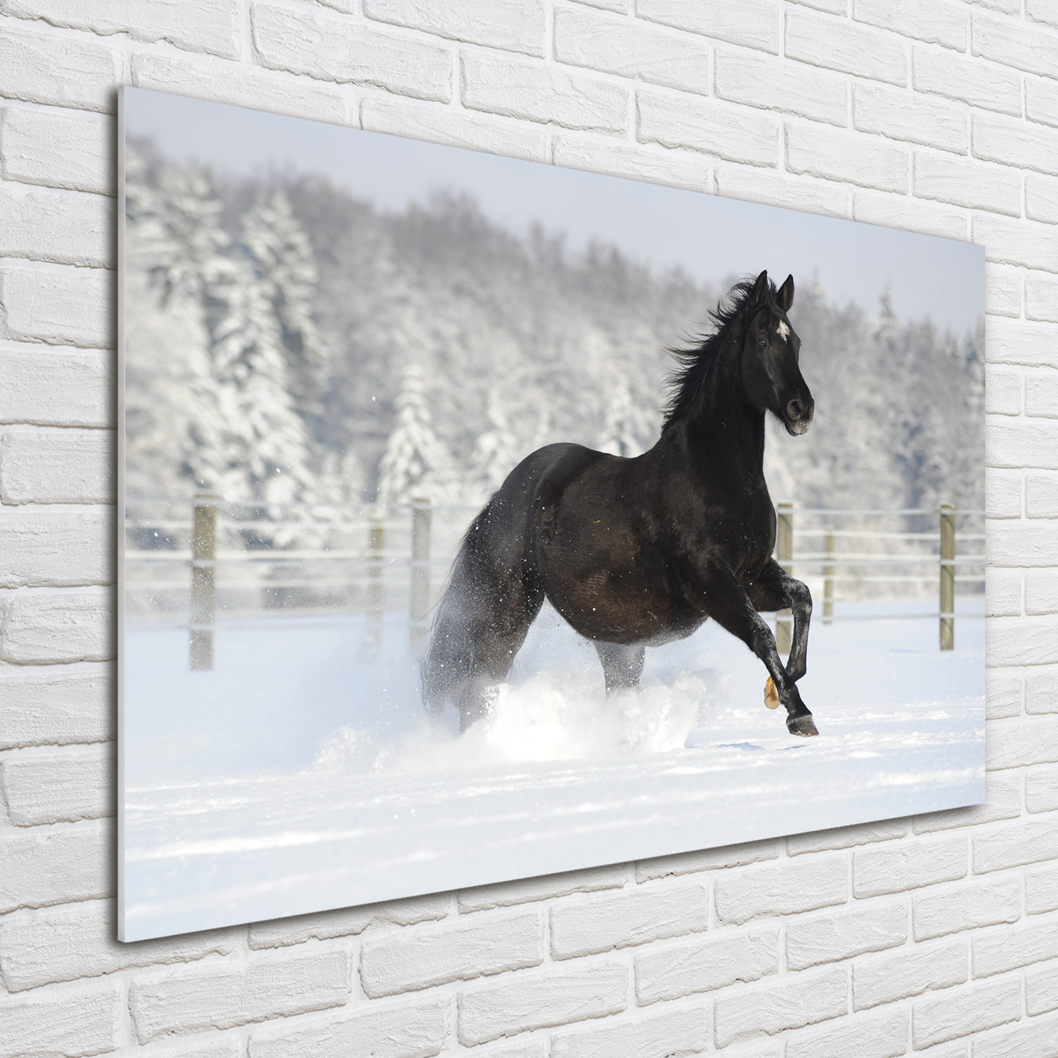 Glas-Bild Wandbilder Druck auf Glas 100x70 Deko Tiere Pferd Schnee