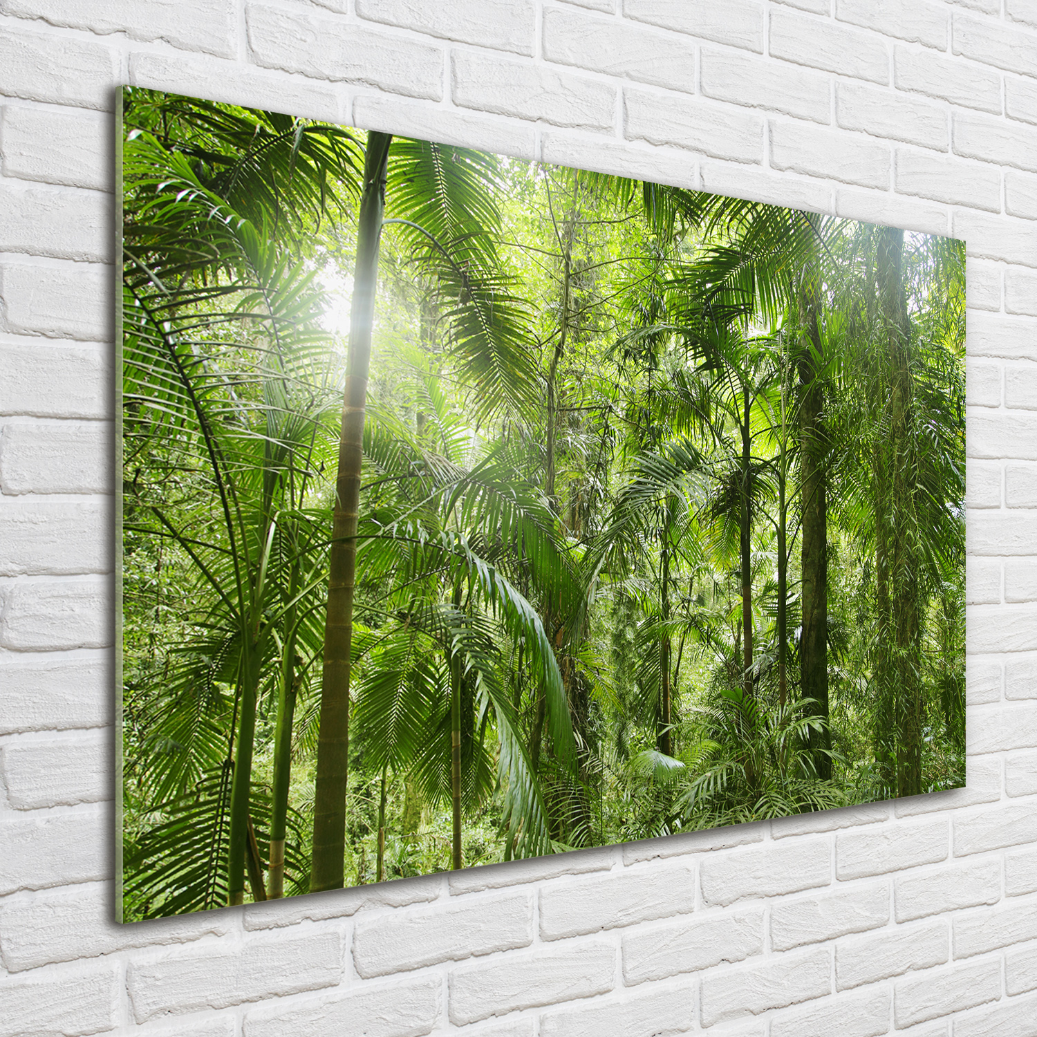 Glas-Bild Wandbilder Druck auf Glas 100x70 Blumen & Pflanzen Tropischer Wald