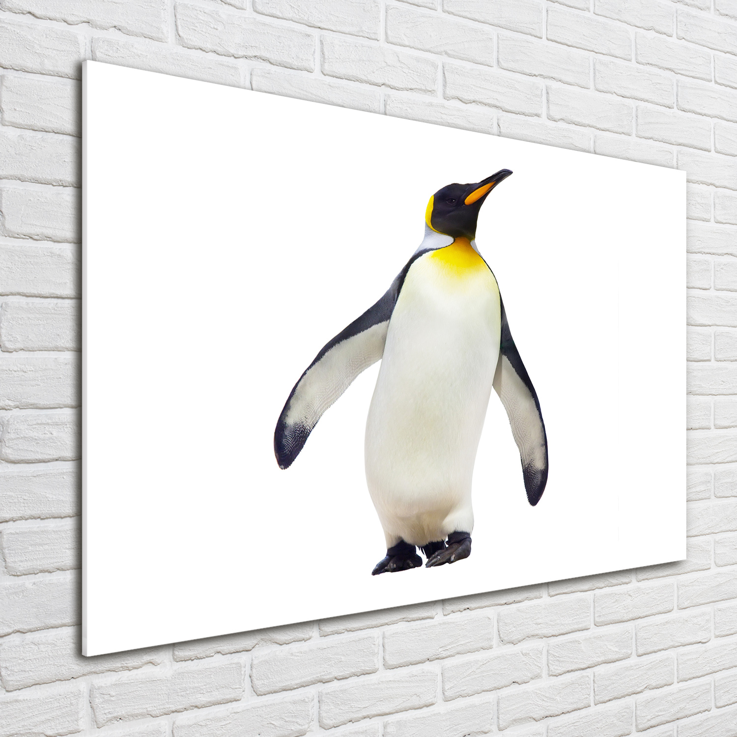 Glas-Bild Wandbilder Druck auf Glas 100x70 Deko Tiere Pinguin