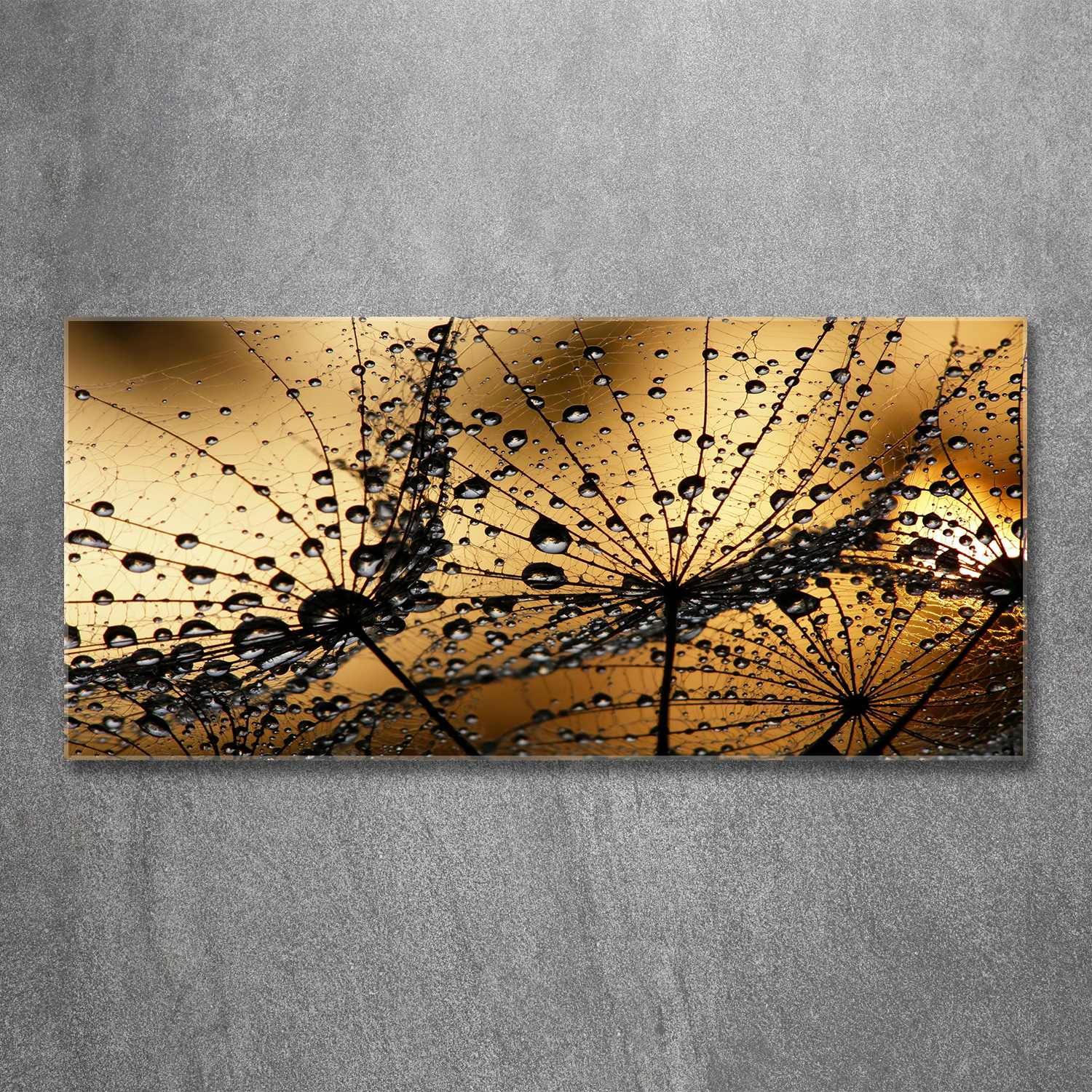 Glasbilder Wandbild Druck auf Glas 120x60 Pusteblume Pflanzen