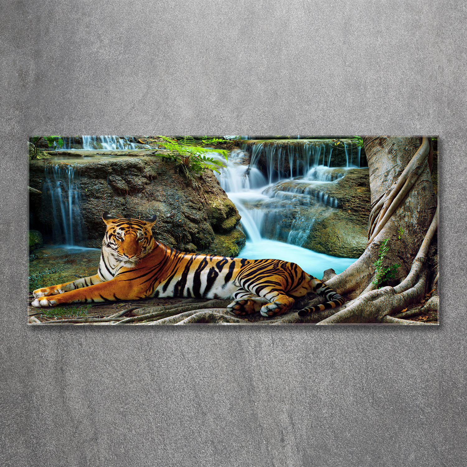 Leinwandbild Kunst-Druck 125x50 Bilder Tiere Tiger Wasserfall