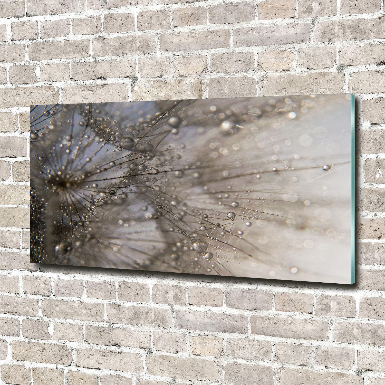 Glasbilder Wandbild Druck auf Glas 140x70 Pusteblume Pflanzen