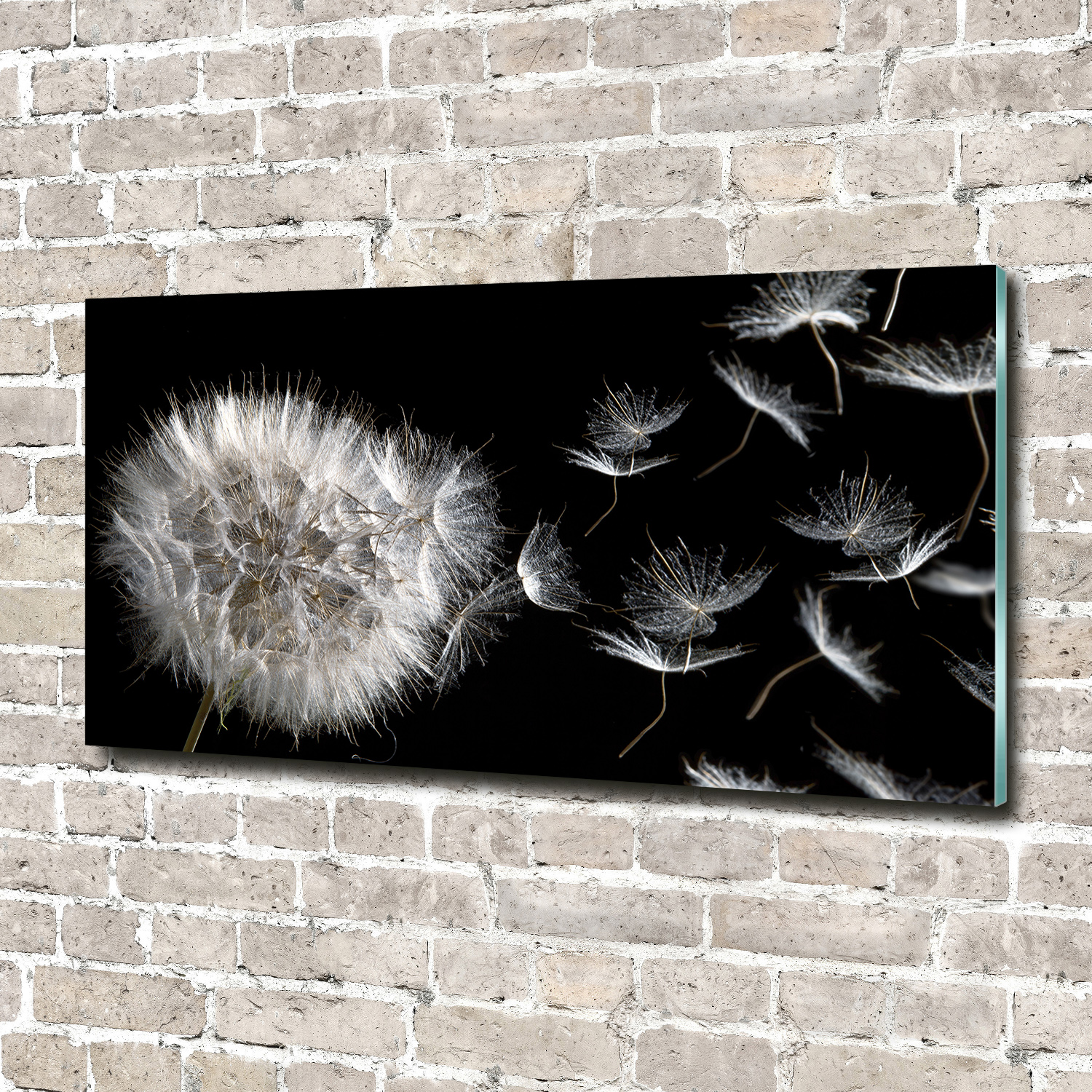 Glas-Bild Wandbilder Druck auf Glas 140x70 Deko Blumen & Pflanzen Pusteblume