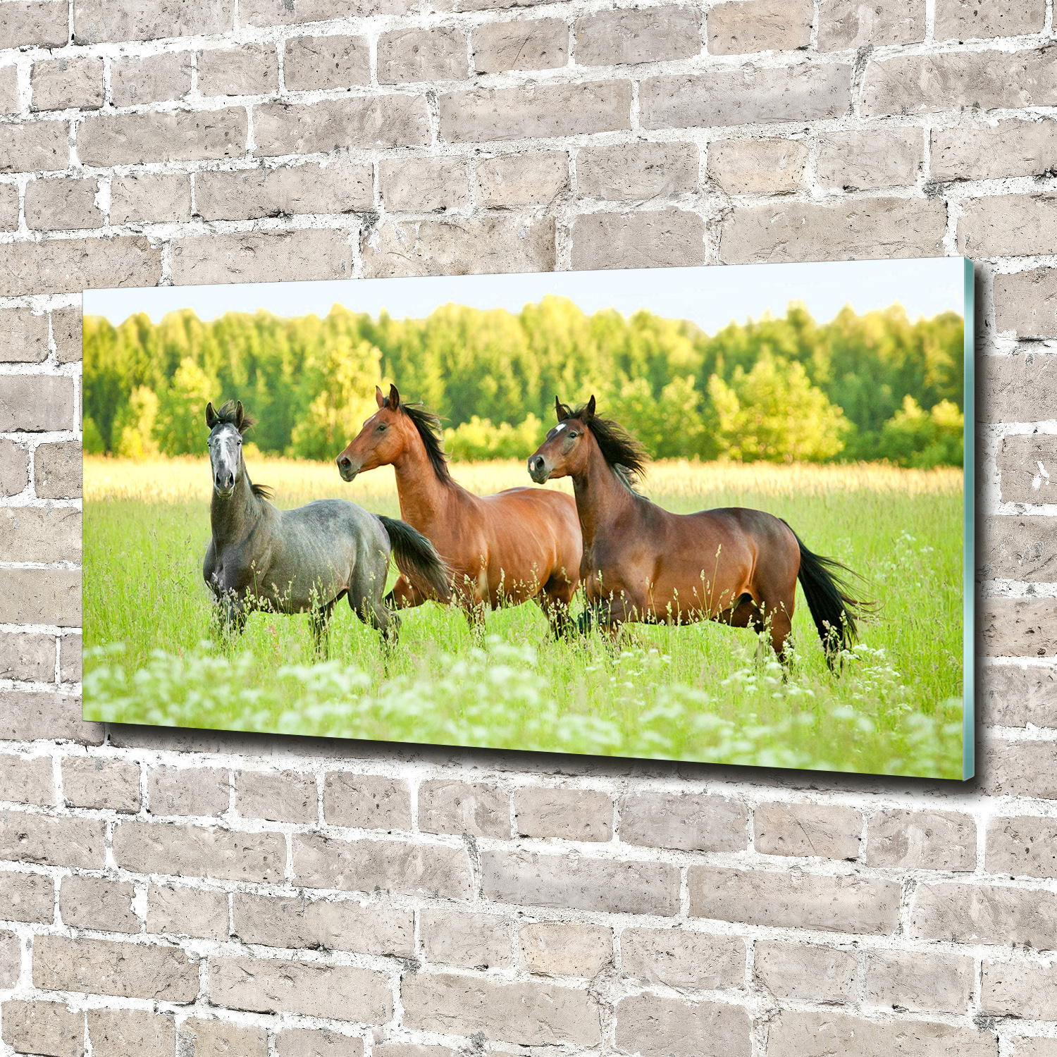 Leinwandbild Kunst-Druck 140x70 Bilder Tiere Pferde im Galopp