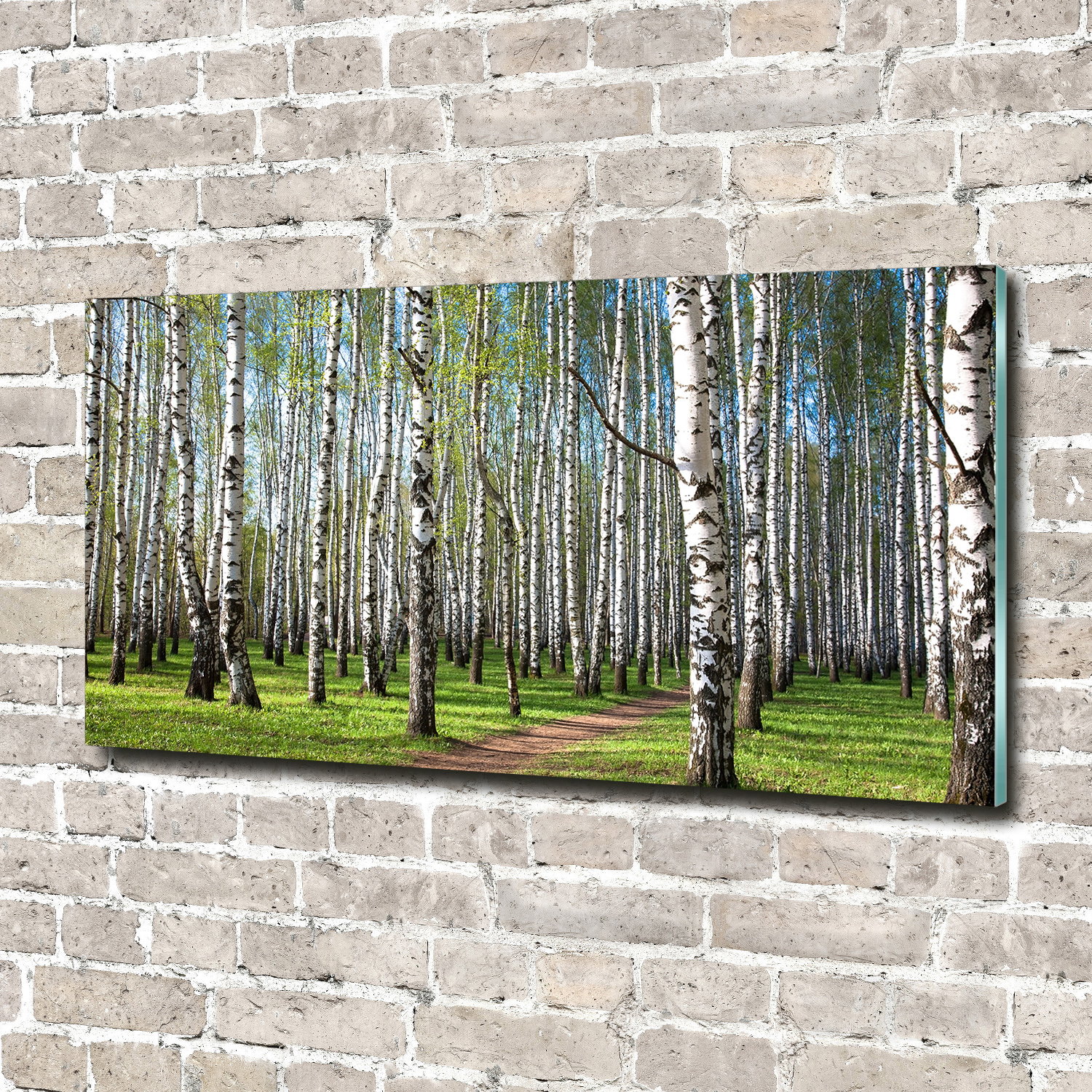 Glas-Bild Wandbilder Druck auf Glas 140x70 Deko Landschaften Birkenwald