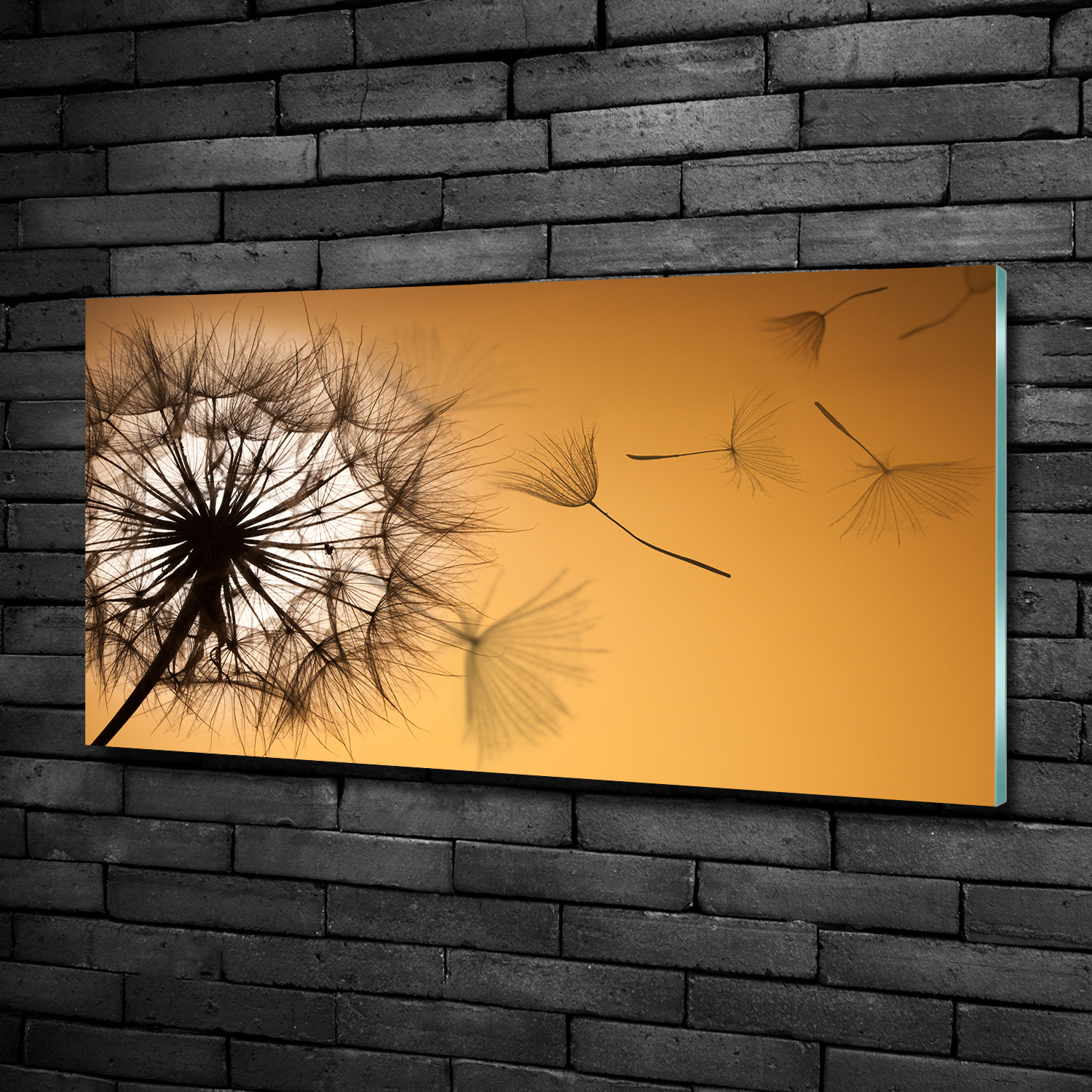 Acrylglas-Bild Wandbilder Druck 100x50 Deko Blumen & Pflanzen Pusteblume