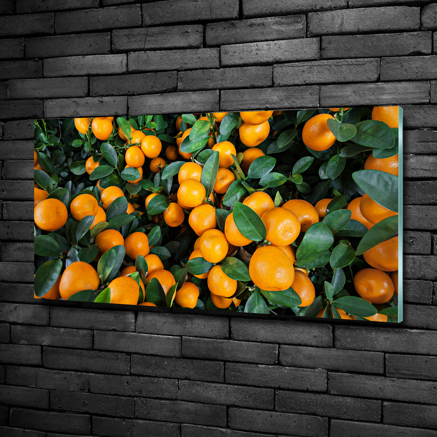 Acrylglas-Bild Wandbilder Druck 100x50 Deko Essen & Getränke Mandarinen