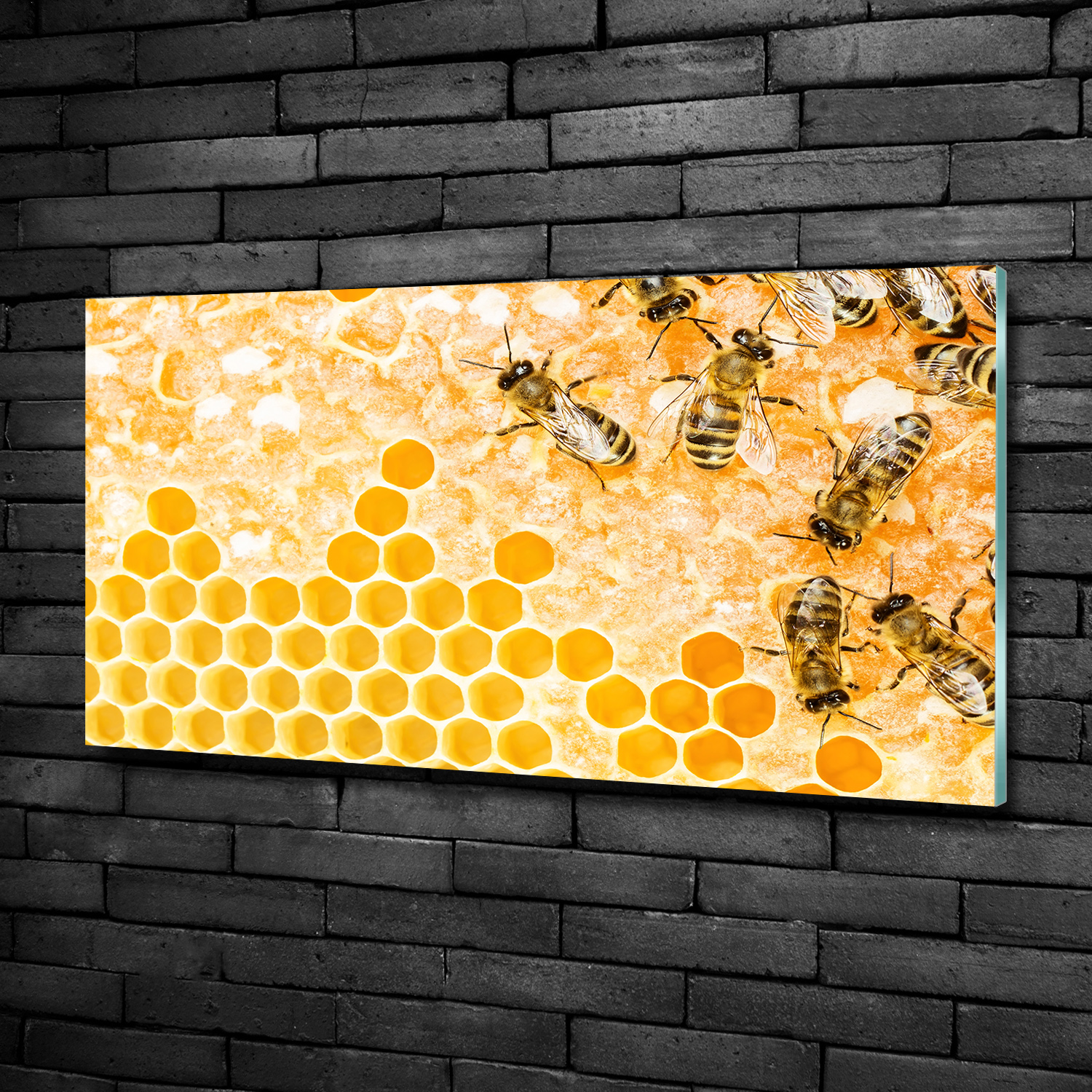 Acrylglas-Bild Wandbilder Druck 100x50 Deko Tiere Bienen