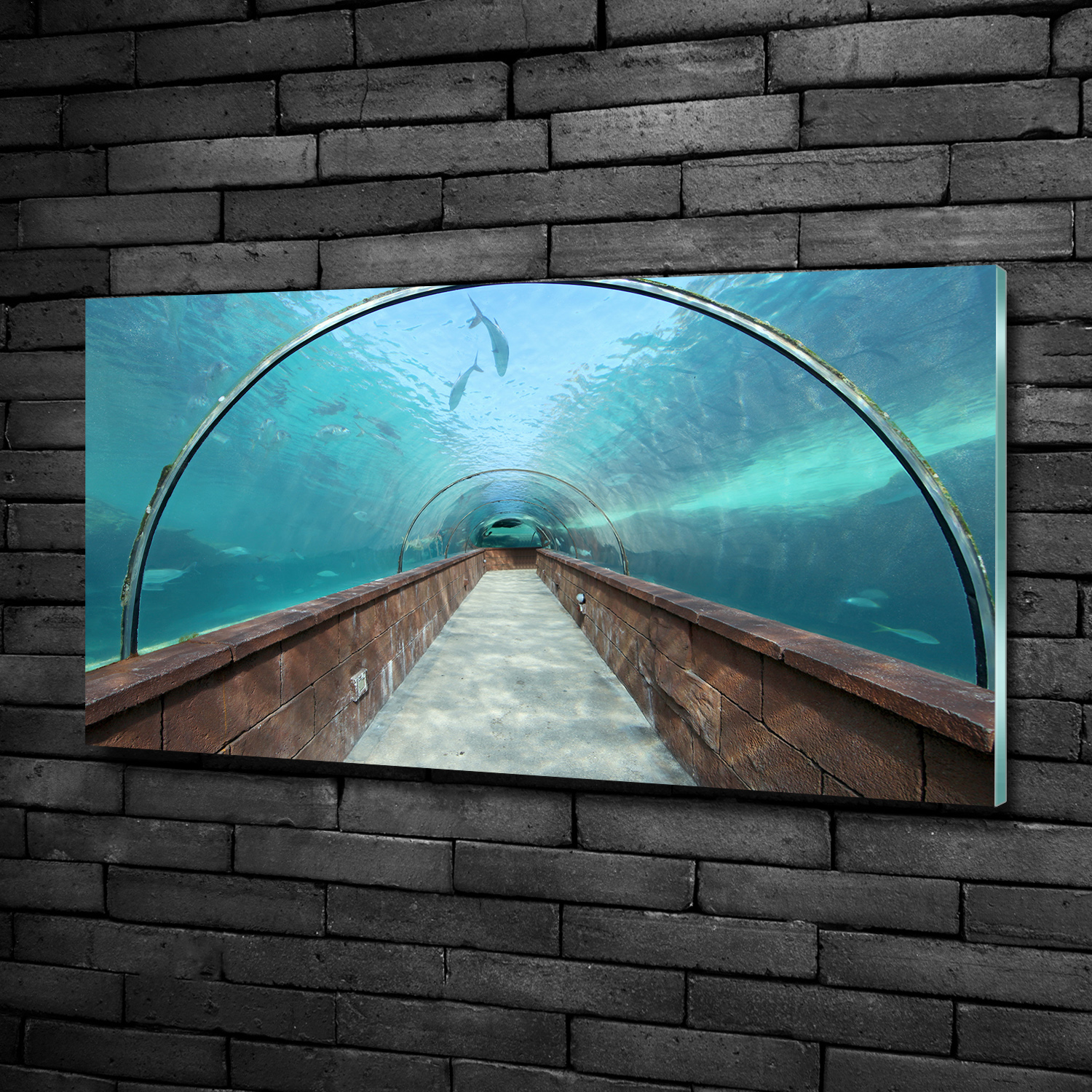 Acrylglas-Bild Wandbilder Druck 100x50 Deko Sehenswürdigkeiten Aquarium