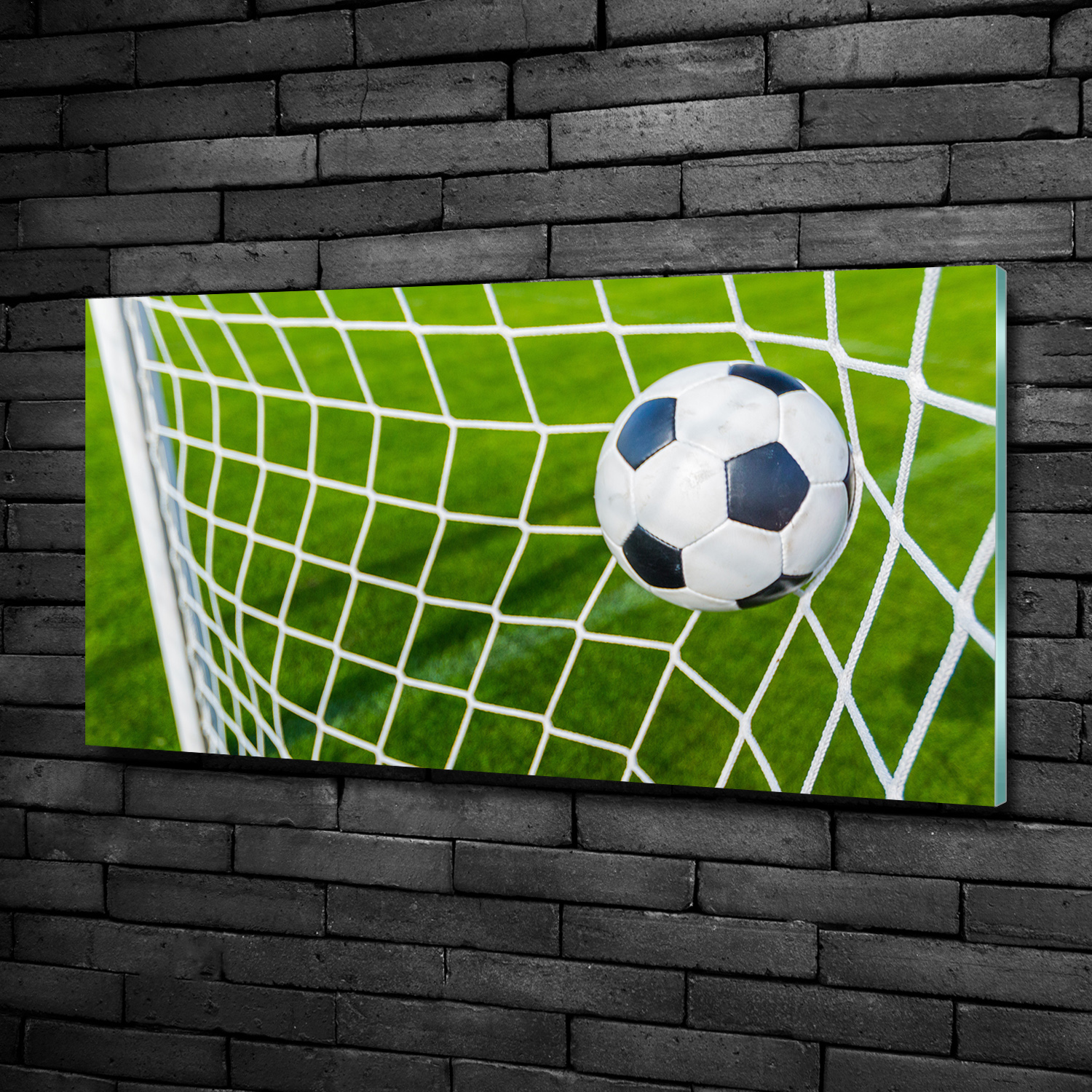 Wandbild aus Plexiglas® Druck auf Acryl 100x50 Sport Ball im Tor