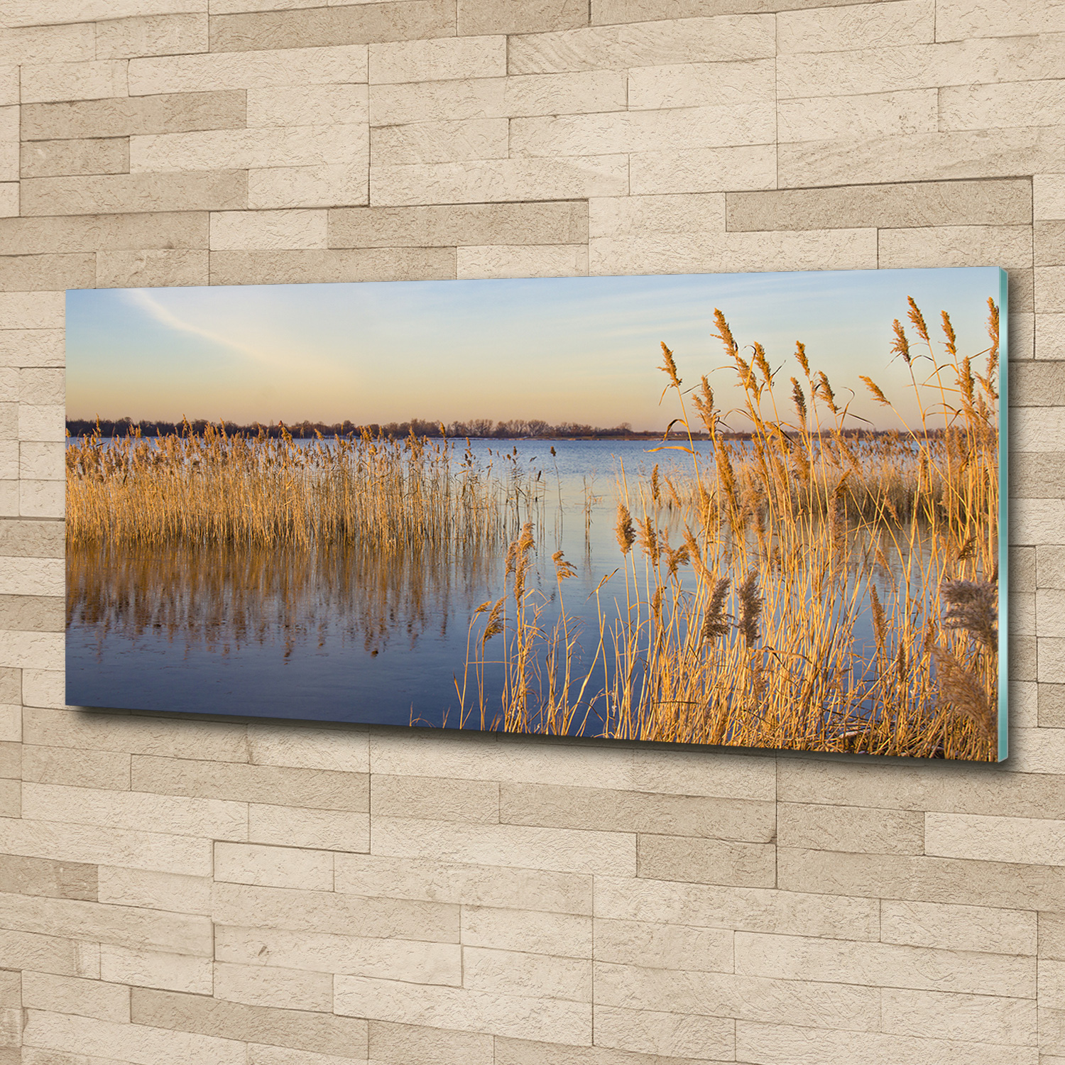 Acrylglas-Bild Wandbilder Druck 125x50 Deko Landschaften Schilfrohr