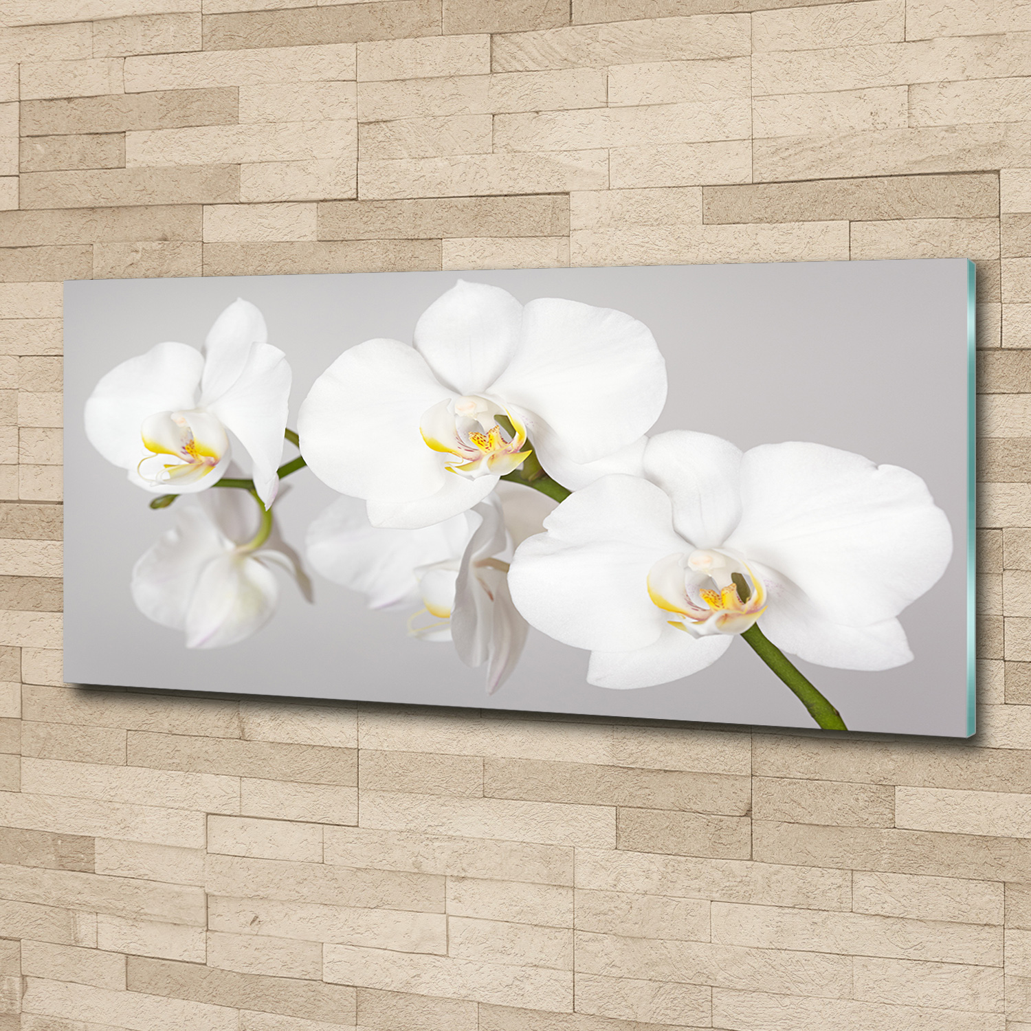 Acrylglas-Bild Wandbilder Druck 125x50 Deko Blumen & Pflanzen Orchidee