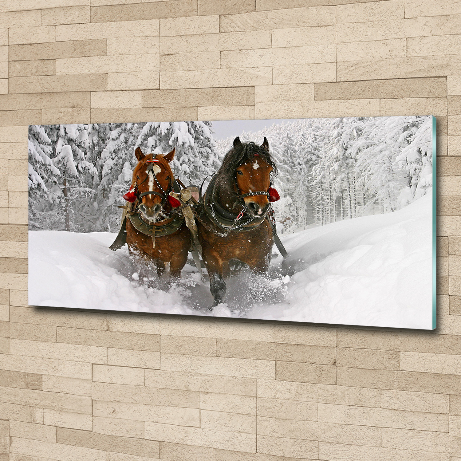 Acrylglas-Bild Wandbilder Druck 125x50 Deko Tiere Pferdeschlittenfahrt