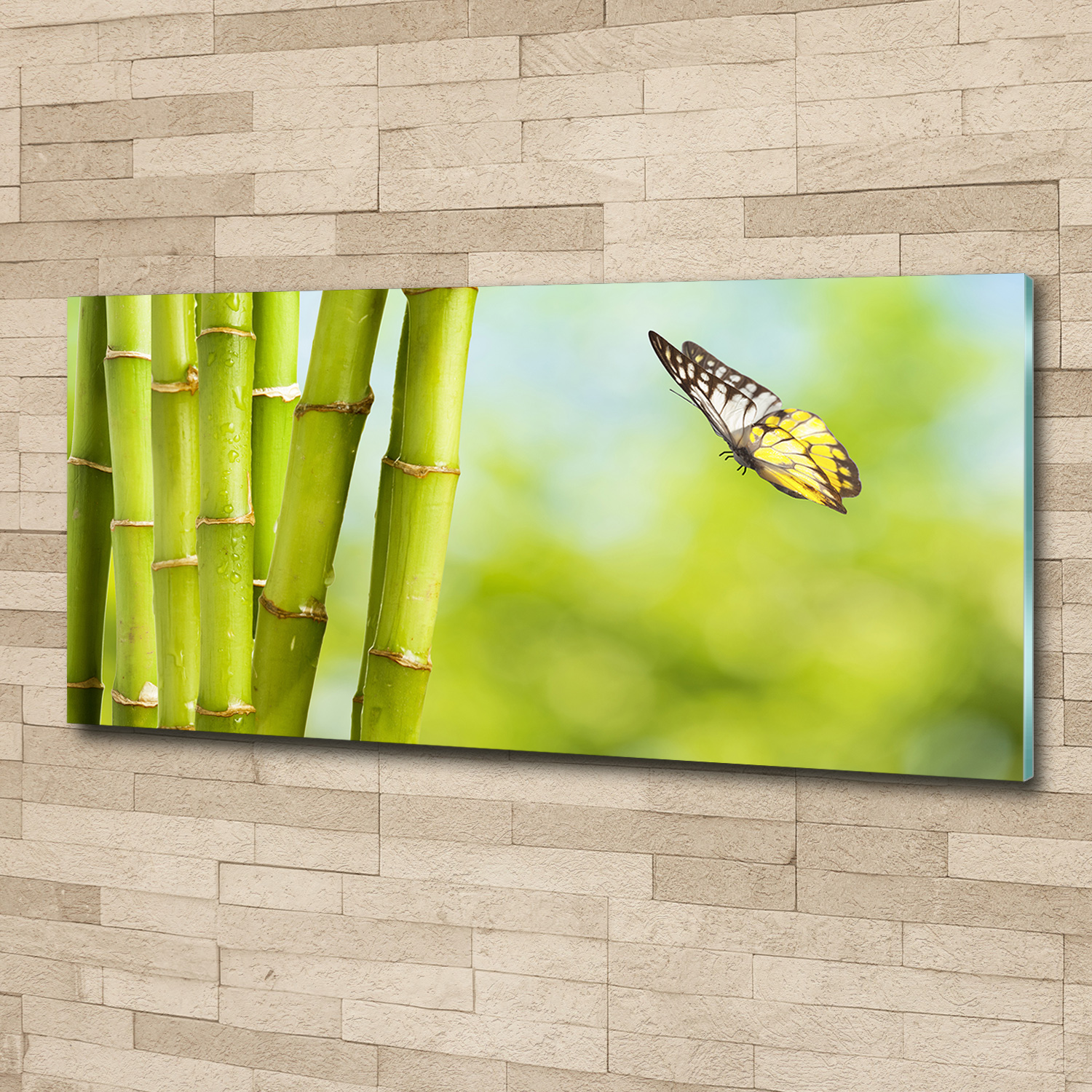 Acrylglas-Bild Wandbilder Druck 125x50 Blumen & Pflanzen Bambus Schmetterling