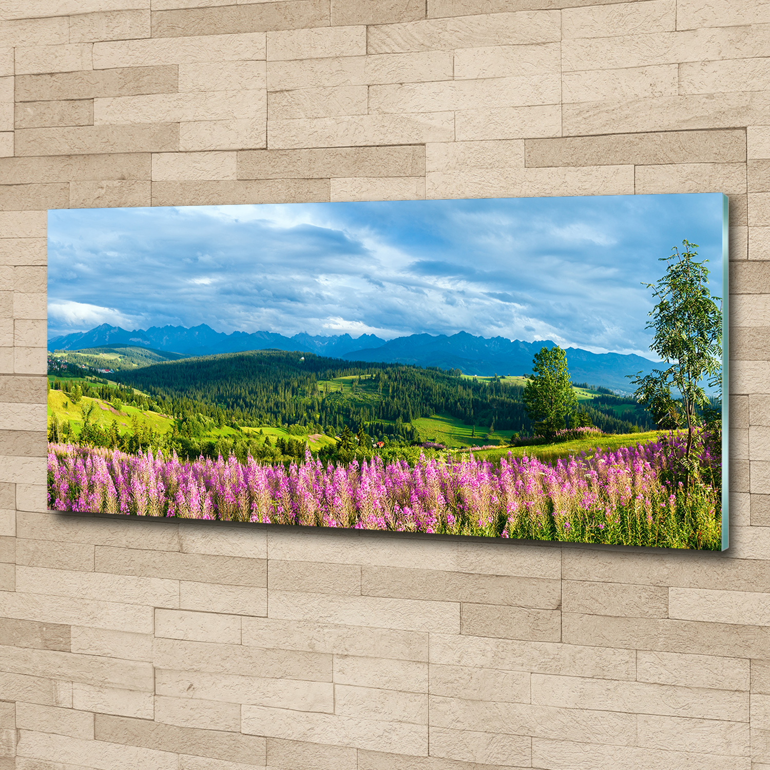 Acrylglas-Bild Wandbilder Druck 125x50 Deko Blumen & Pflanzen Lavendel Berge