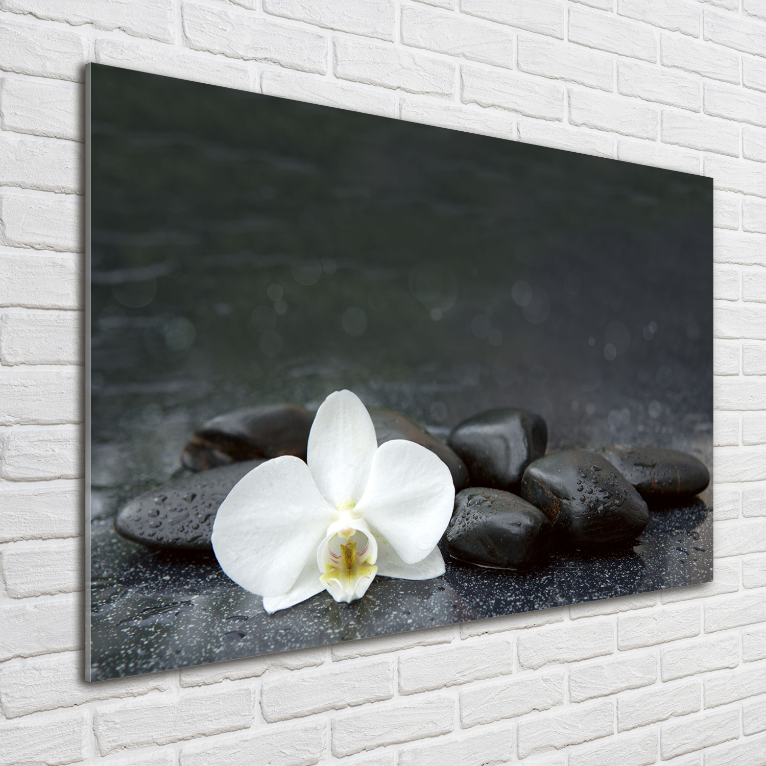 Acrylglas-Bild Wandbilder Druck 100x70 Deko Blumen & Pflanzen Orchidee
