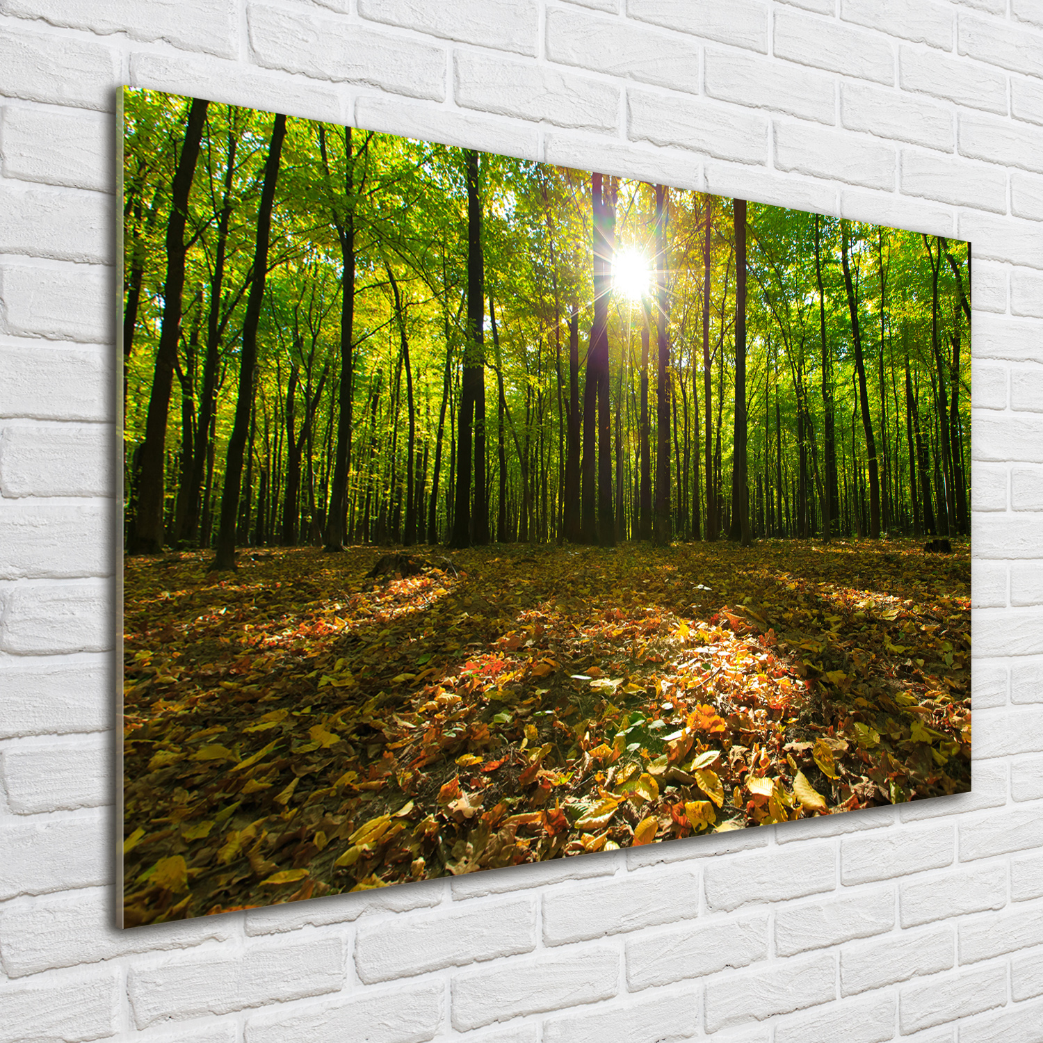 Acrylglas-Bild Wandbilder Druck 100x70 Deko Landschaften Wald