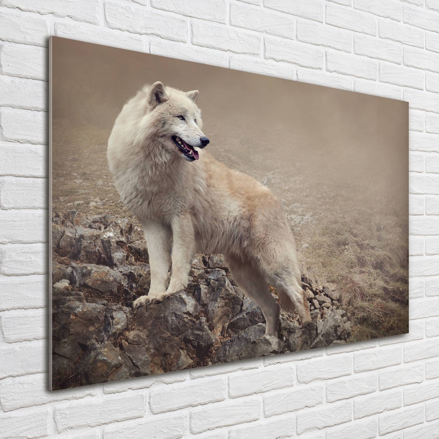 Glas-Bild Wandbilder Druck auf Glas 100x70 Deko Tiere Weißer Tiger