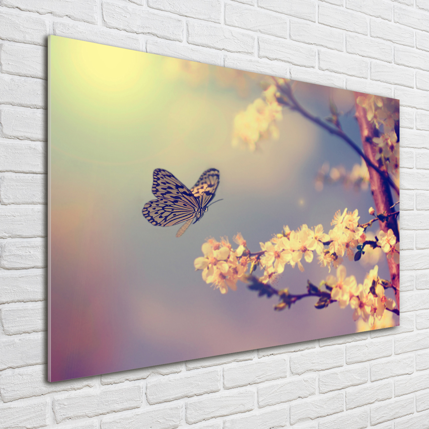 Wandbild aus Plexiglas® Druck auf Acryl 100x70 Blumen & Pflanzen Kirschblüten