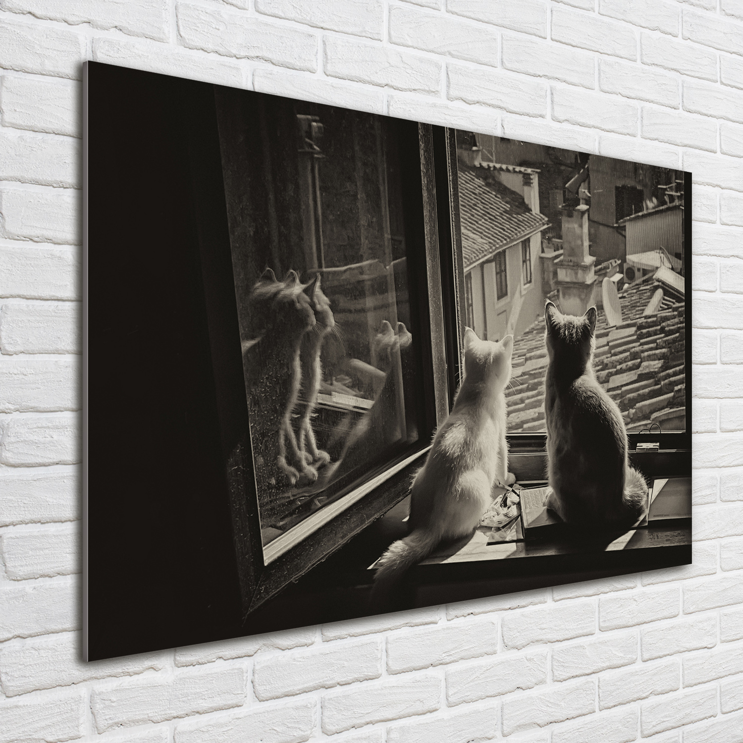 Wandbild aus Plexiglas® Druck auf Acryl 100x70 Tiere Katzen am Fenster