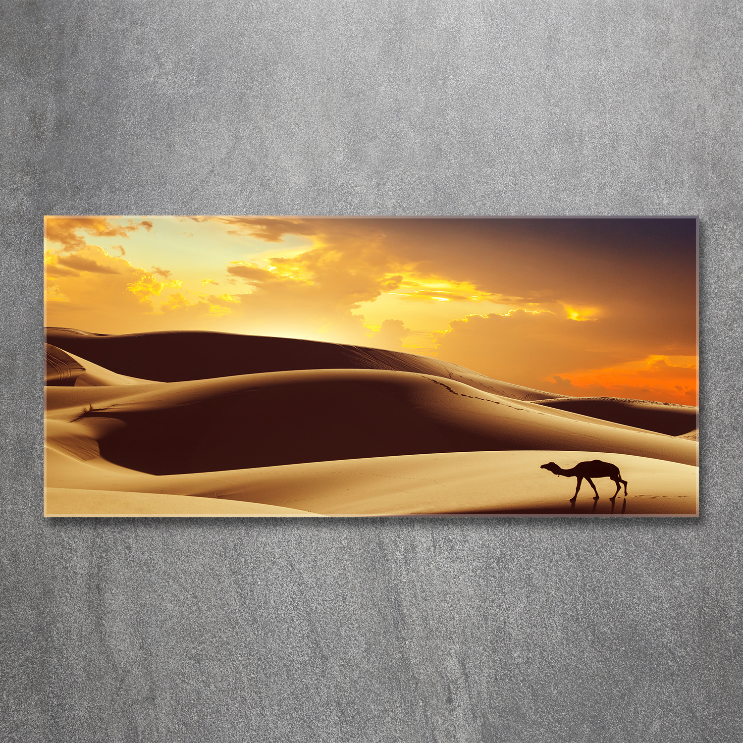 Acrylglas-Bild Wandbilder Druck 120x60 Deko Landschaften Sahara Kamel