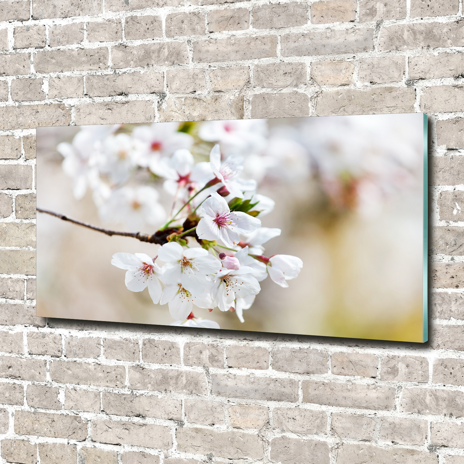 Acrylglas-Bild Wandbilder Druck 140x70 Deko Blumen & Pflanzen Kirschblüten