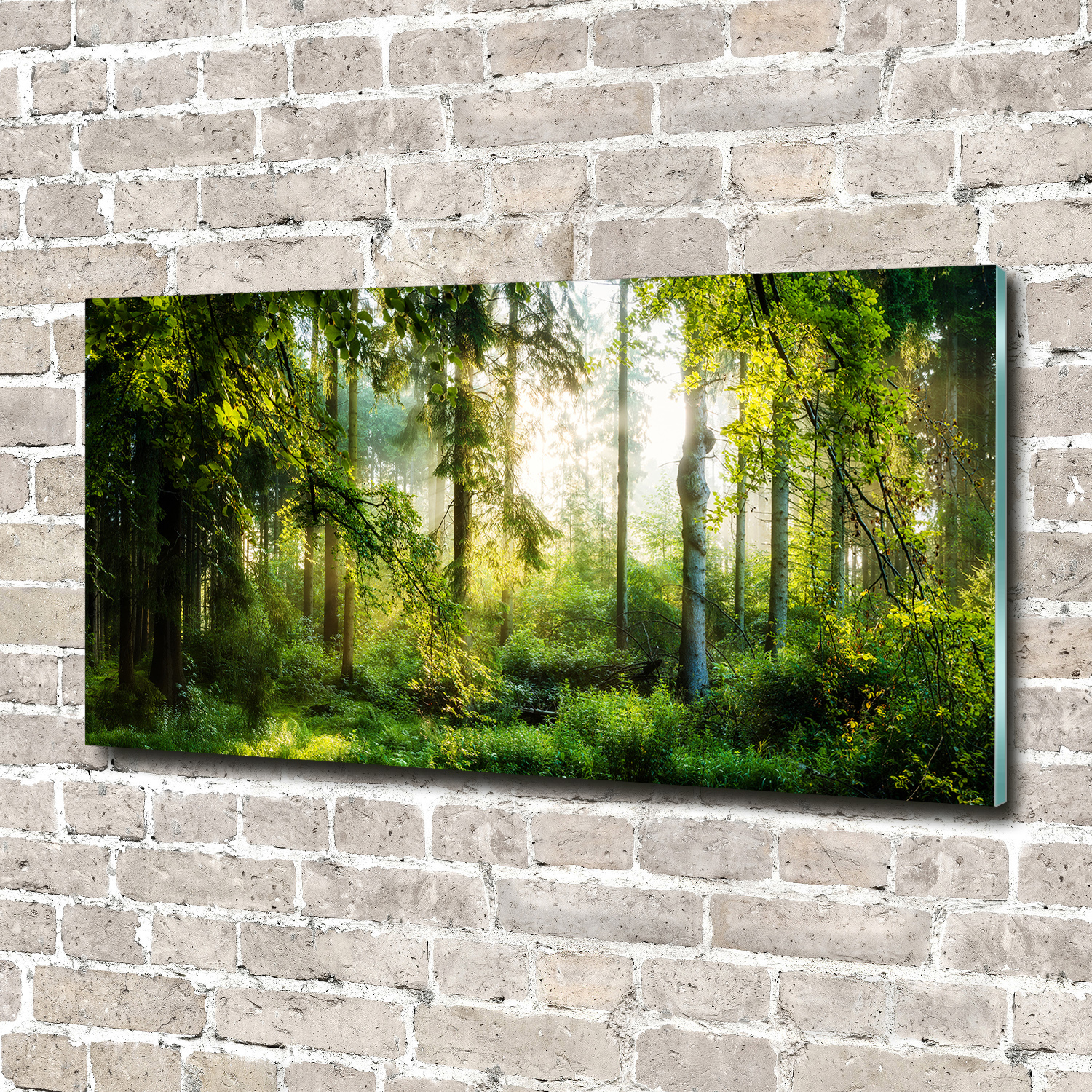Acrylglas-Bild Wandbilder Druck 140x70 Deko Landschaften Morgensonne Wald