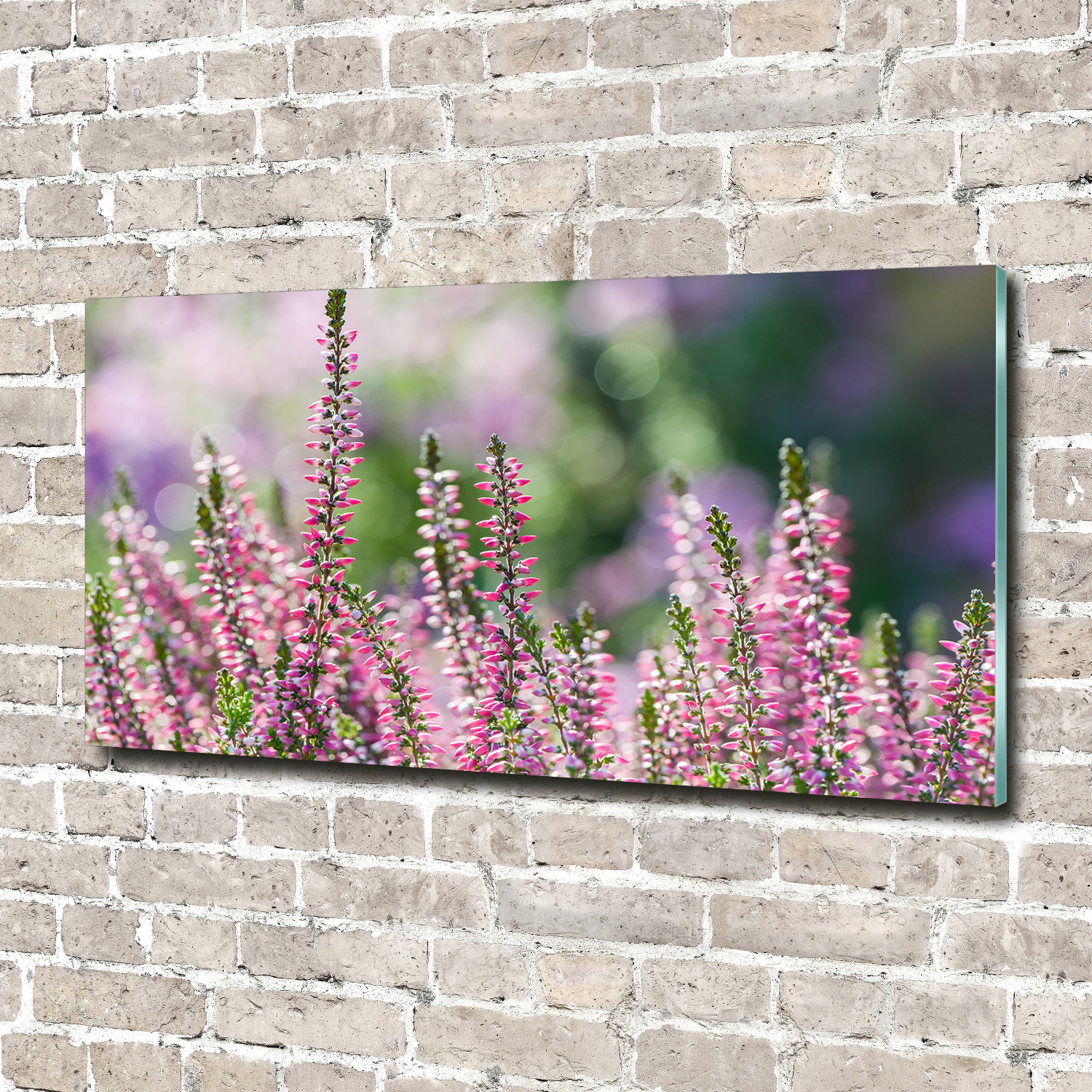 Acrylglas-Bild Wandbilder Druck 140x70 Deko Blumen & Pflanzen Besenheide