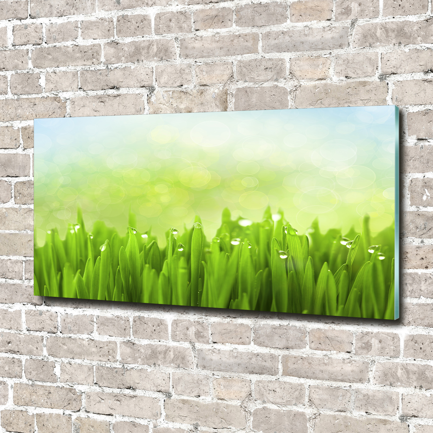 Wandbild Aus Plexiglas Druck Auf Acryl 140x70 Blumen Pflanzen Gras Ebay