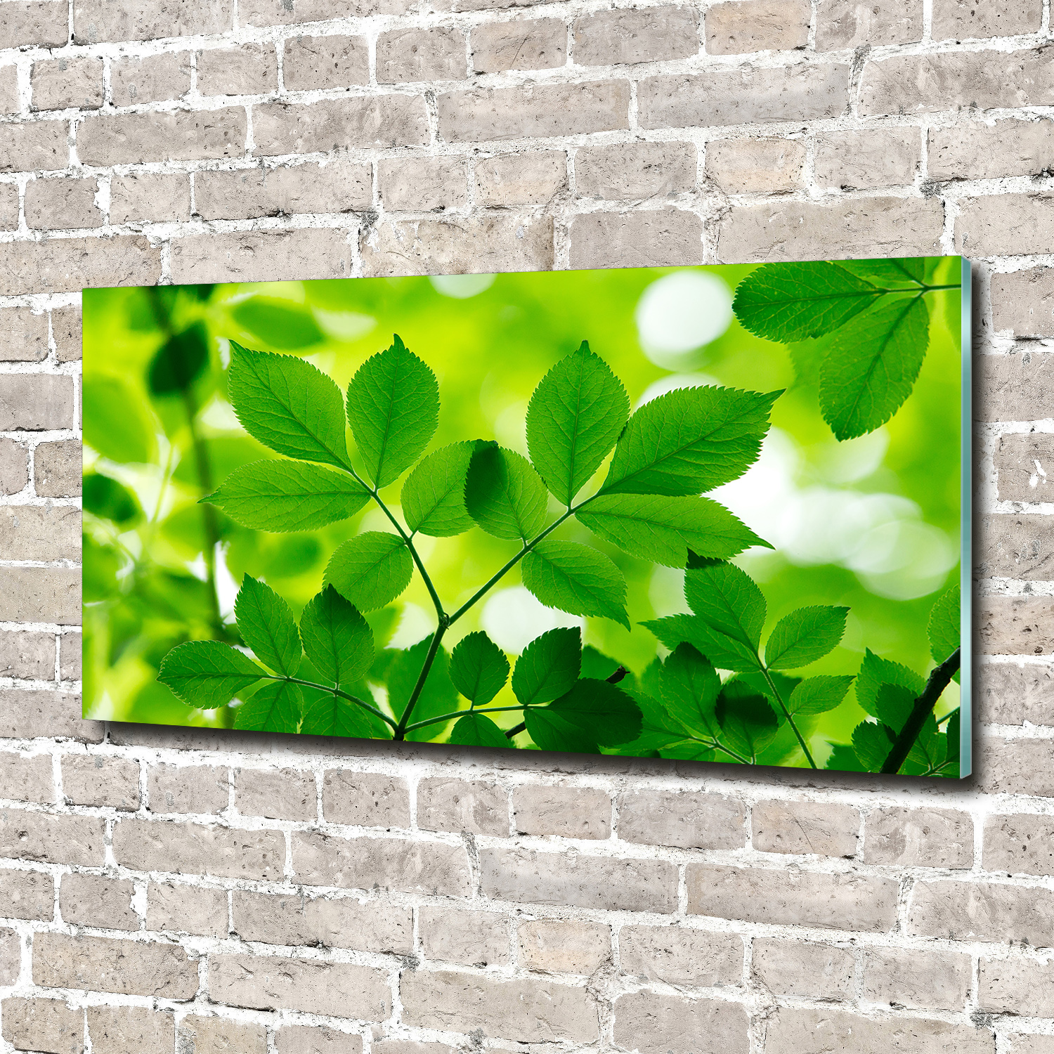 Wandbild aus Plexiglas® Druck auf Acryl 140x70 Blumen & Pflanzen Grüne Blätter
