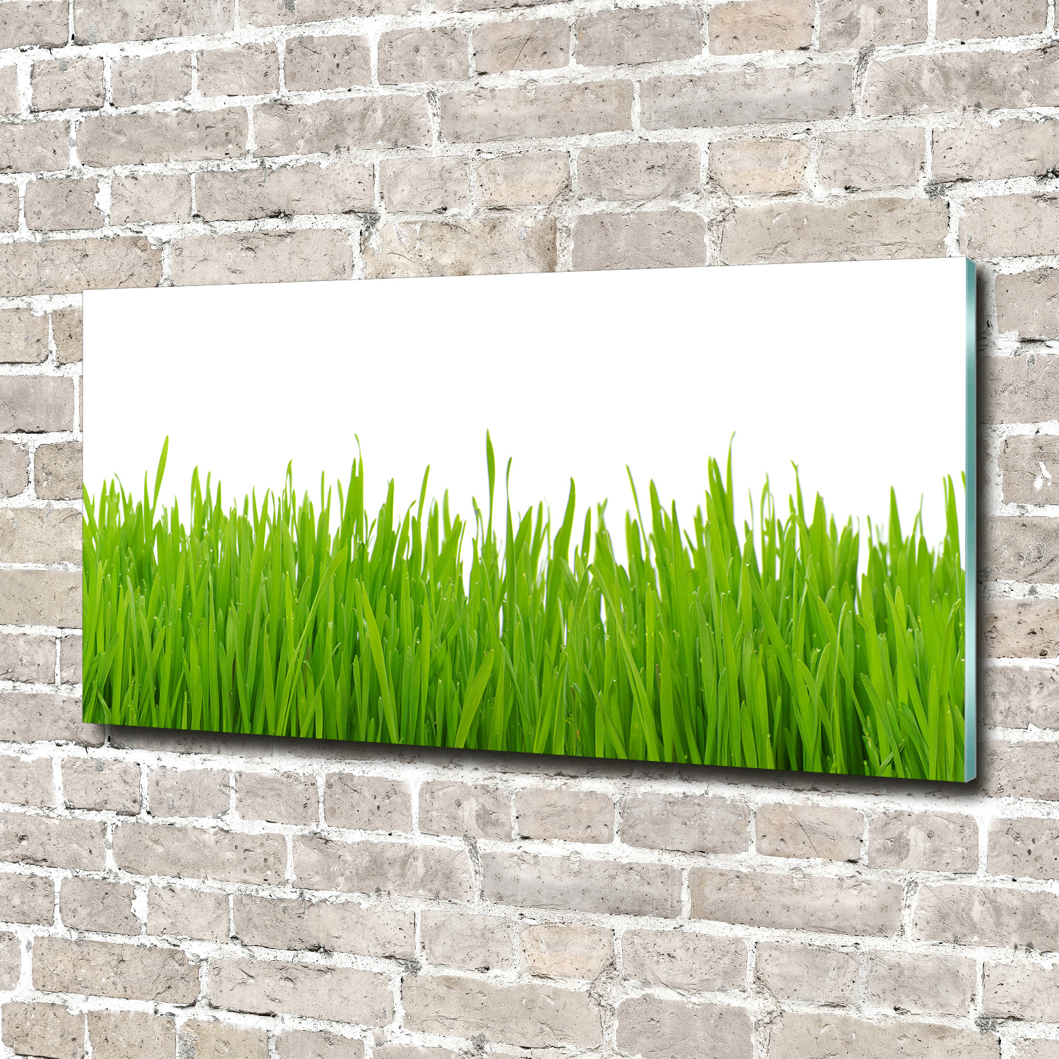 Wandbild aus Plexiglas® Druck auf Acryl 140x70 Blumen & Pflanzen Gras
