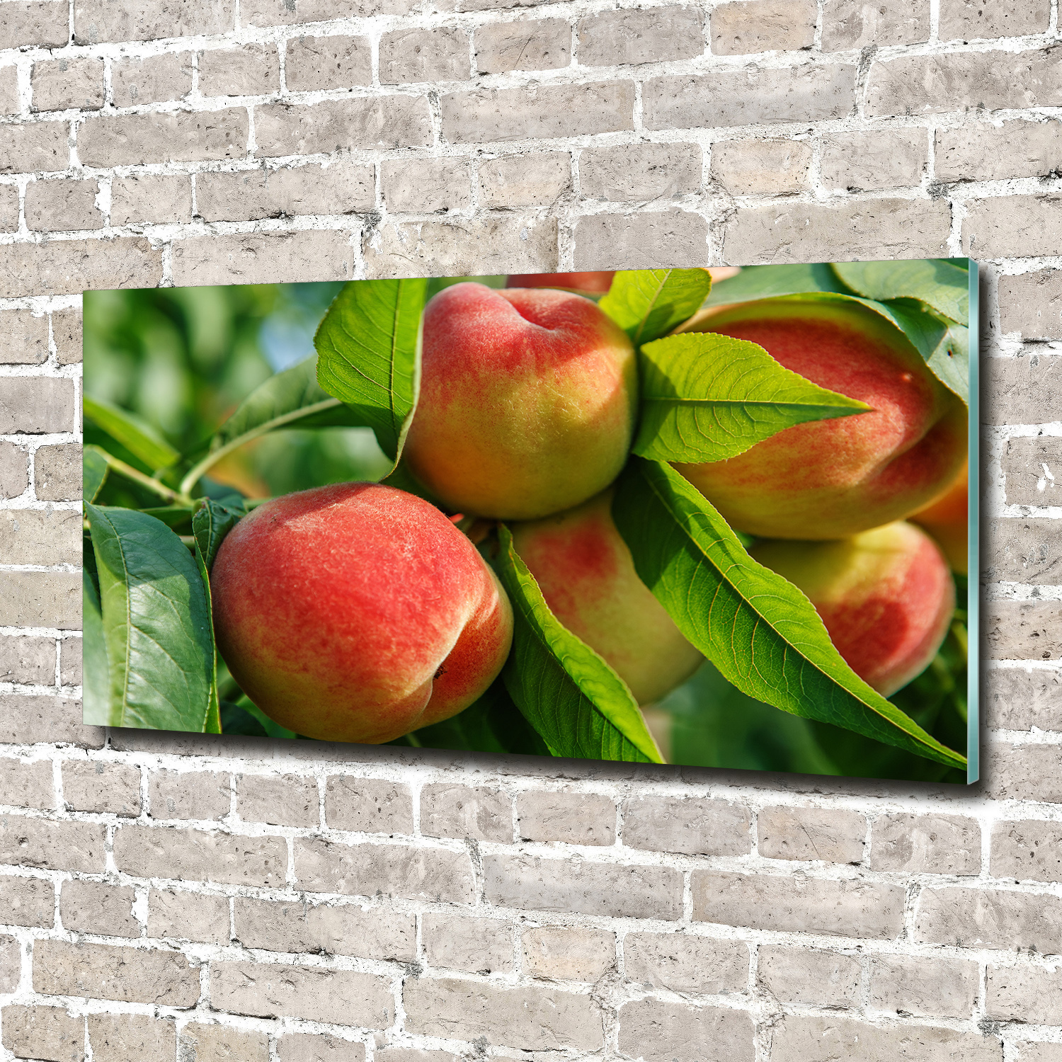 Wandbild aus Plexiglas® Druck auf Acryl 140x70 Essen & Getränke Pfirsiche