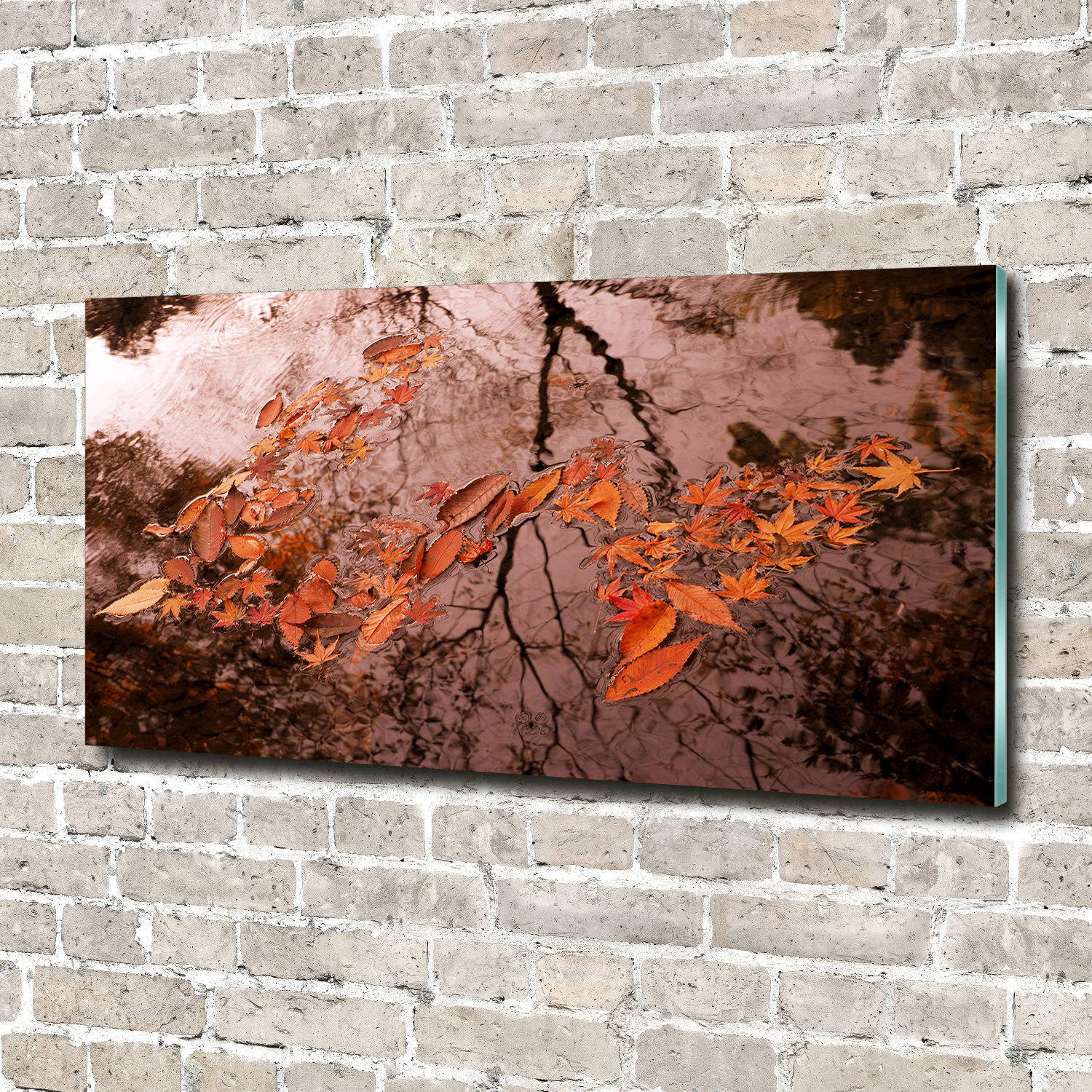 Wandbild aus Plexiglas® Druck auf Acryl 140x70 Blumen & Pflanzen Blätter Wasser