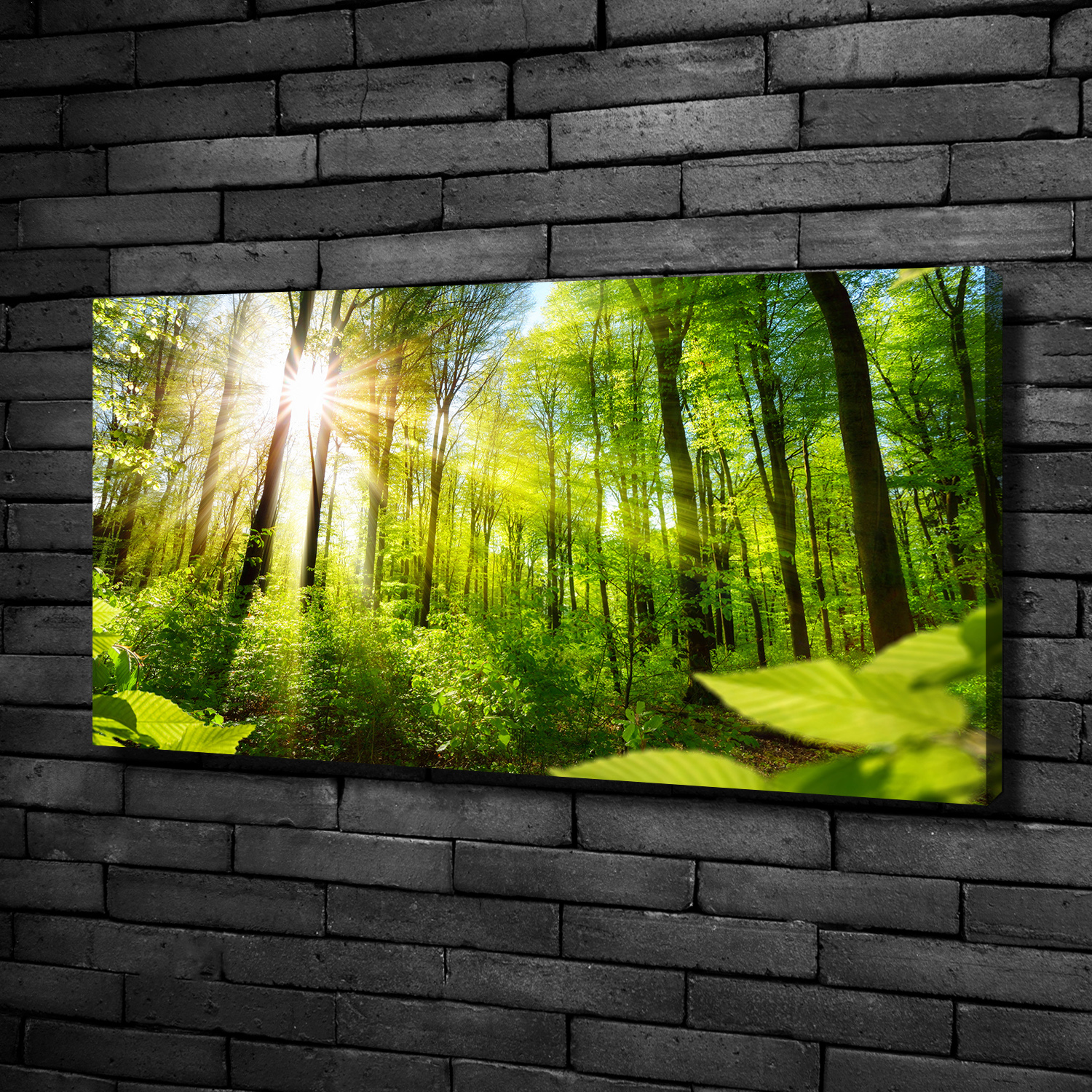 Leinwandbild Kunst-Druck 100x50 Bilder Landschaften Wald in der Sonne
